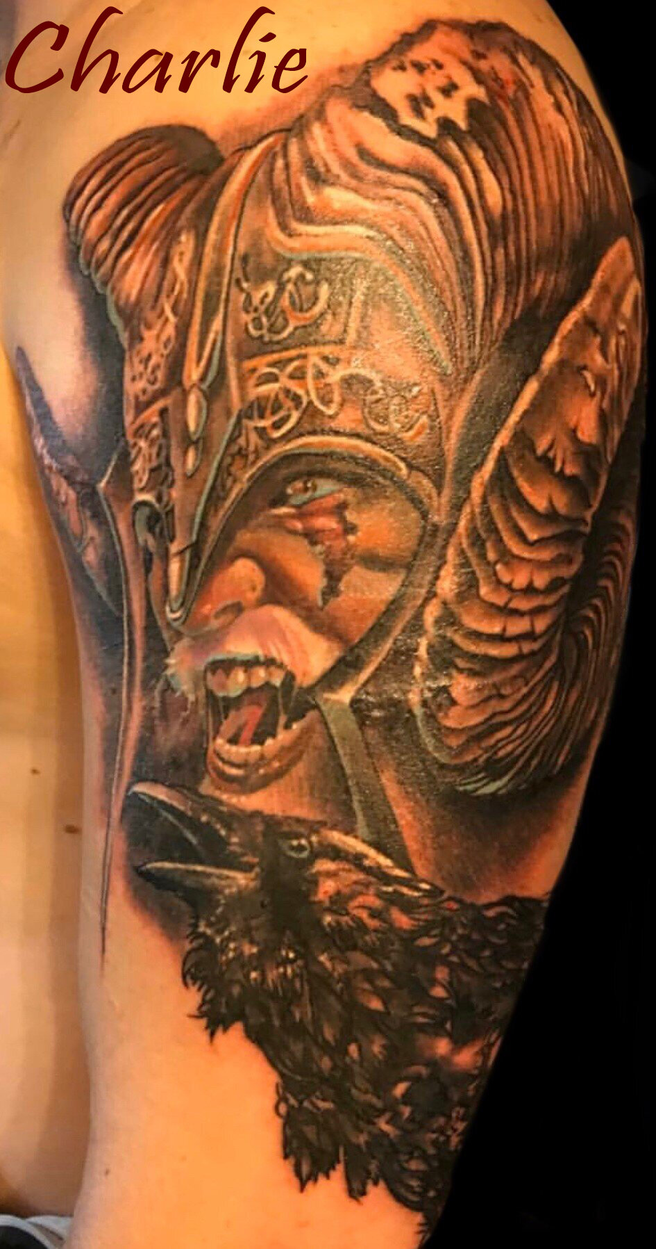 Crow and Viking Half Sleeve