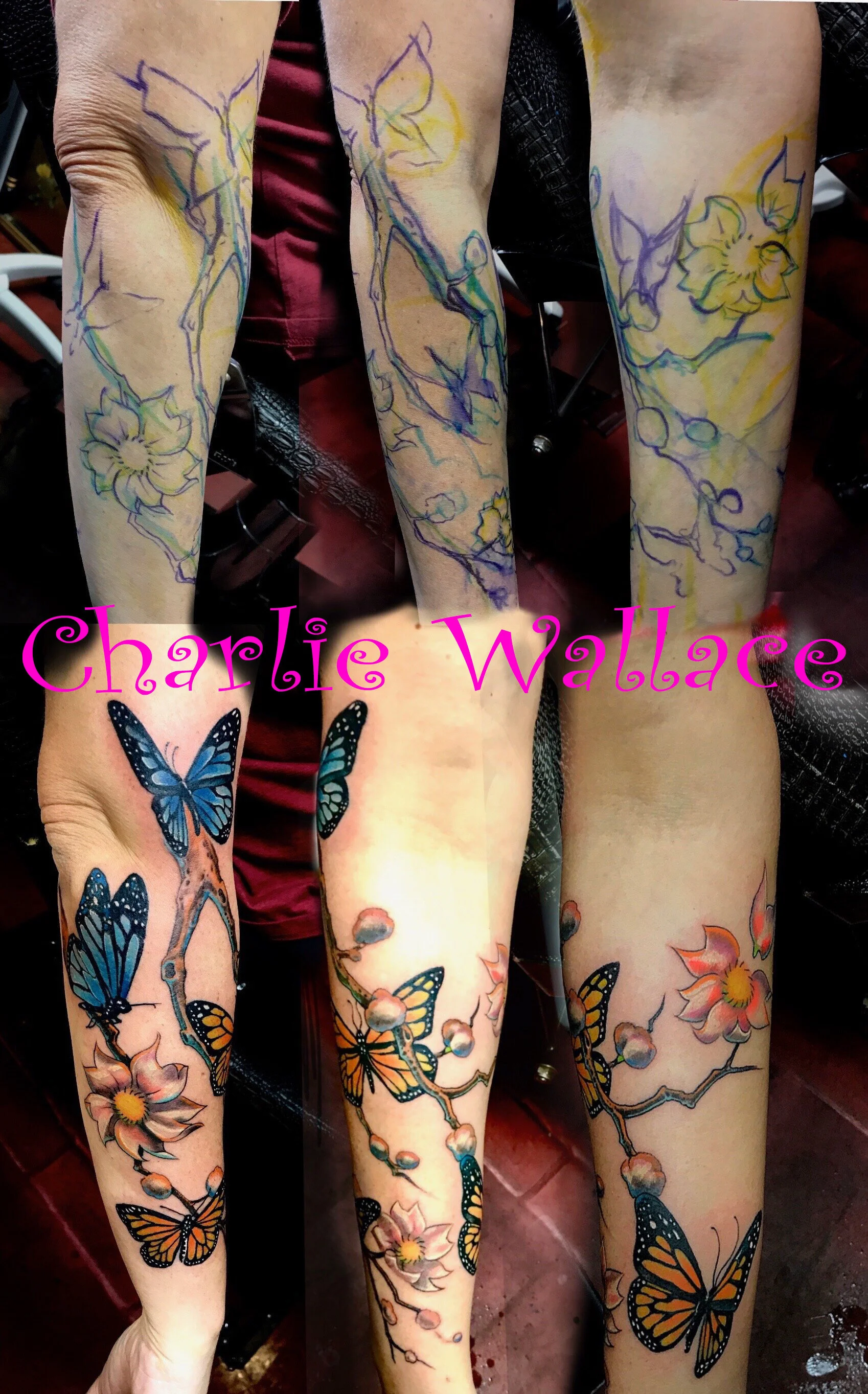 Butterflies and Flowers