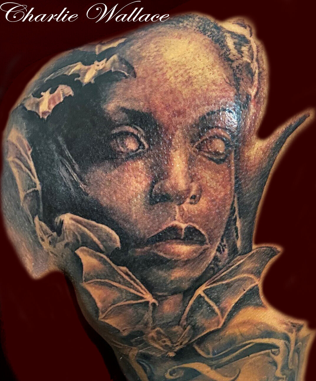 Woman's Face and Bat