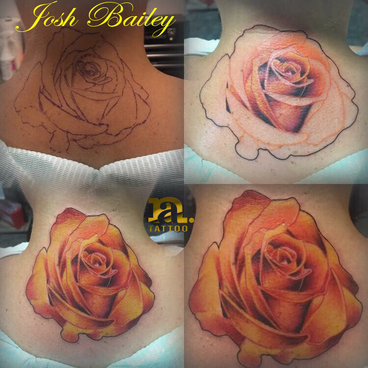 Orange and Yellow Rose