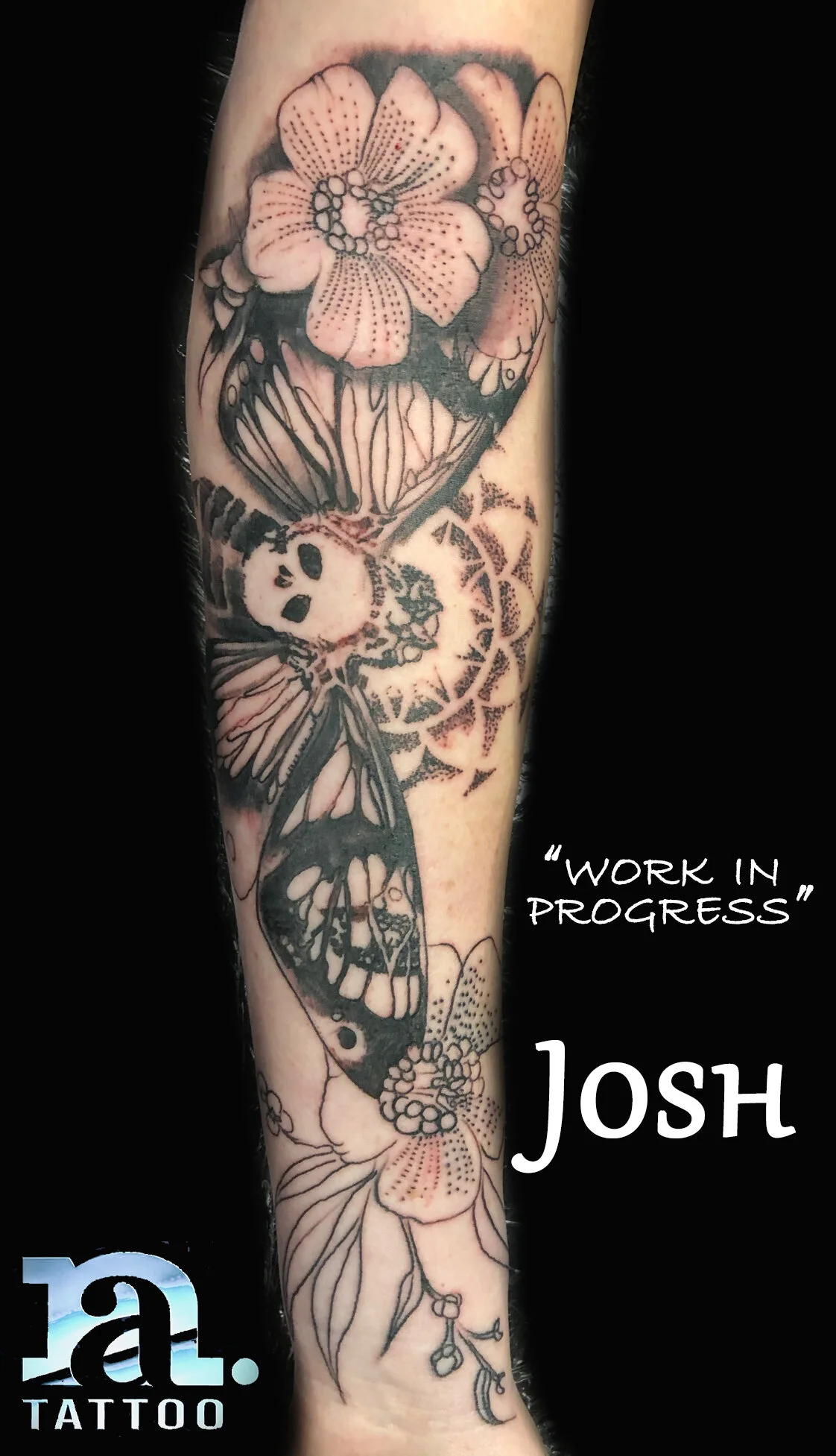 "In Progress" Death Head Moth