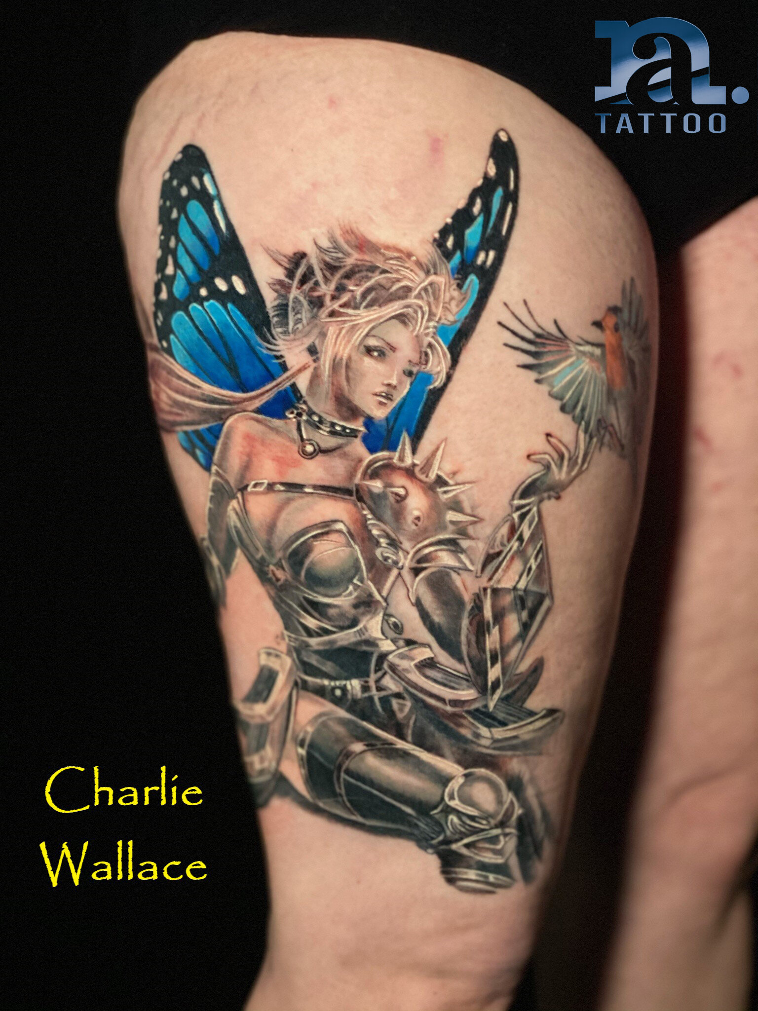 Fairy Warrior