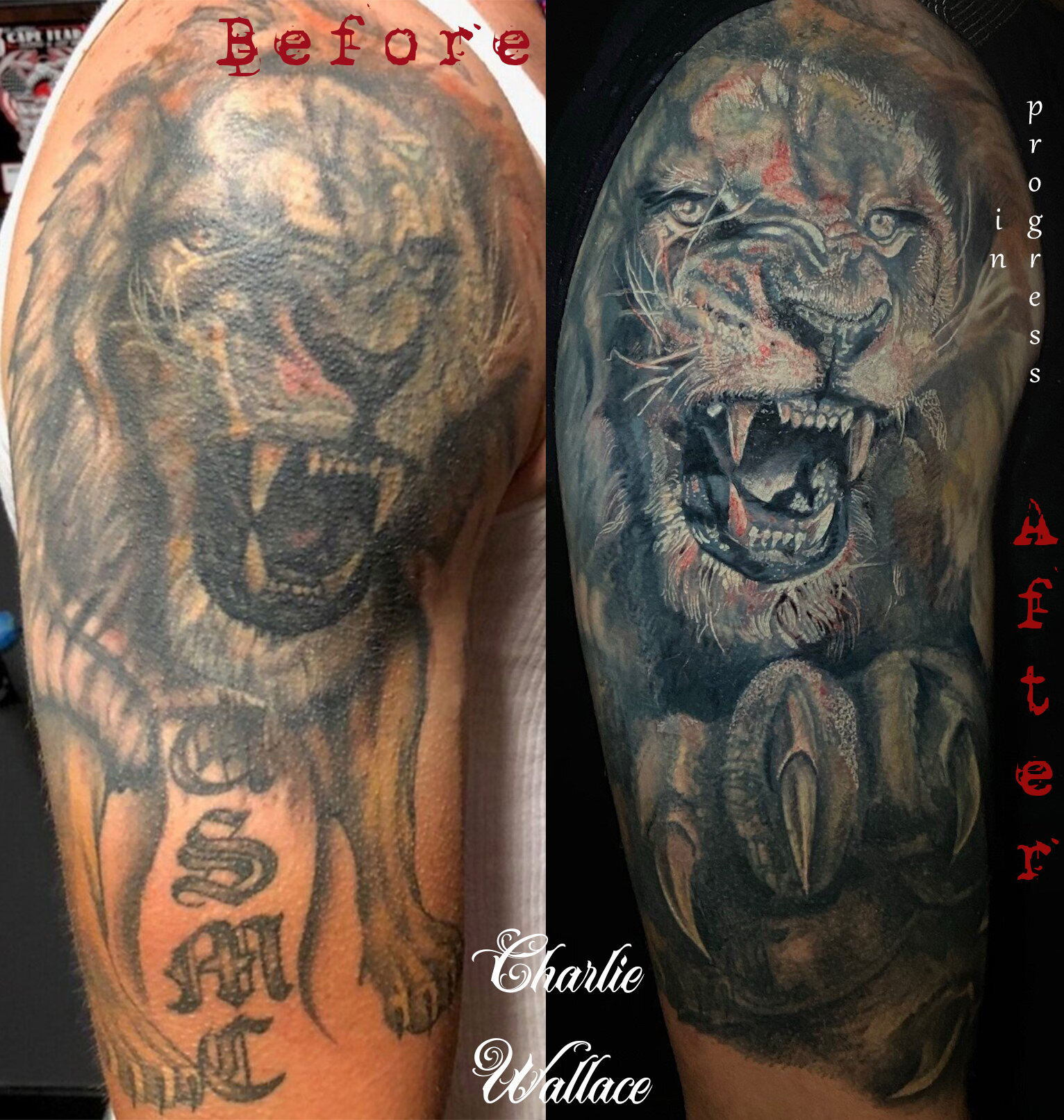 "In Progress" Lion Cover Up