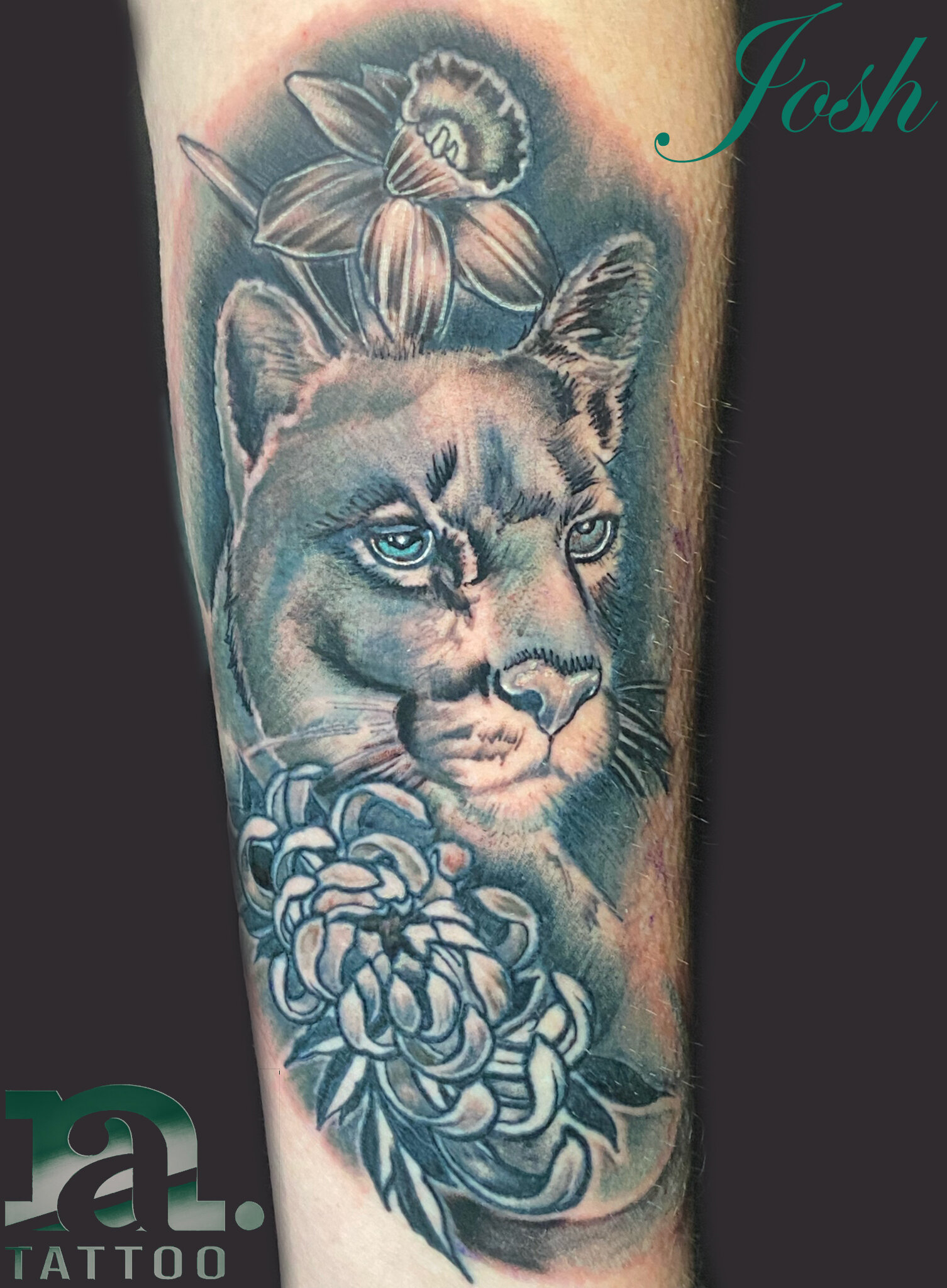 Cougar and Flowers