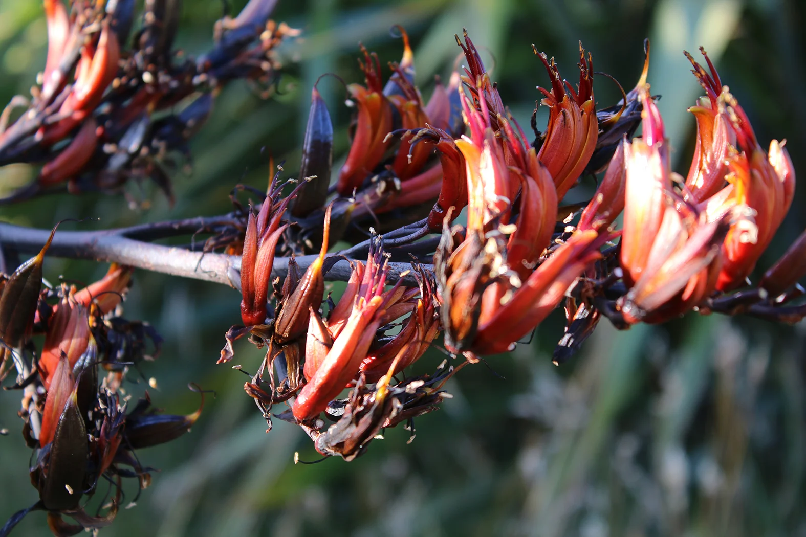 Kaimanawa 3B2A &amp; 3B2B Trust