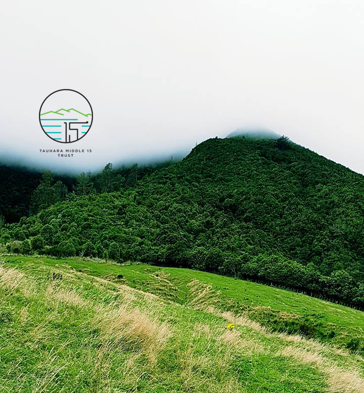 Tauhara Middle 15 Trust