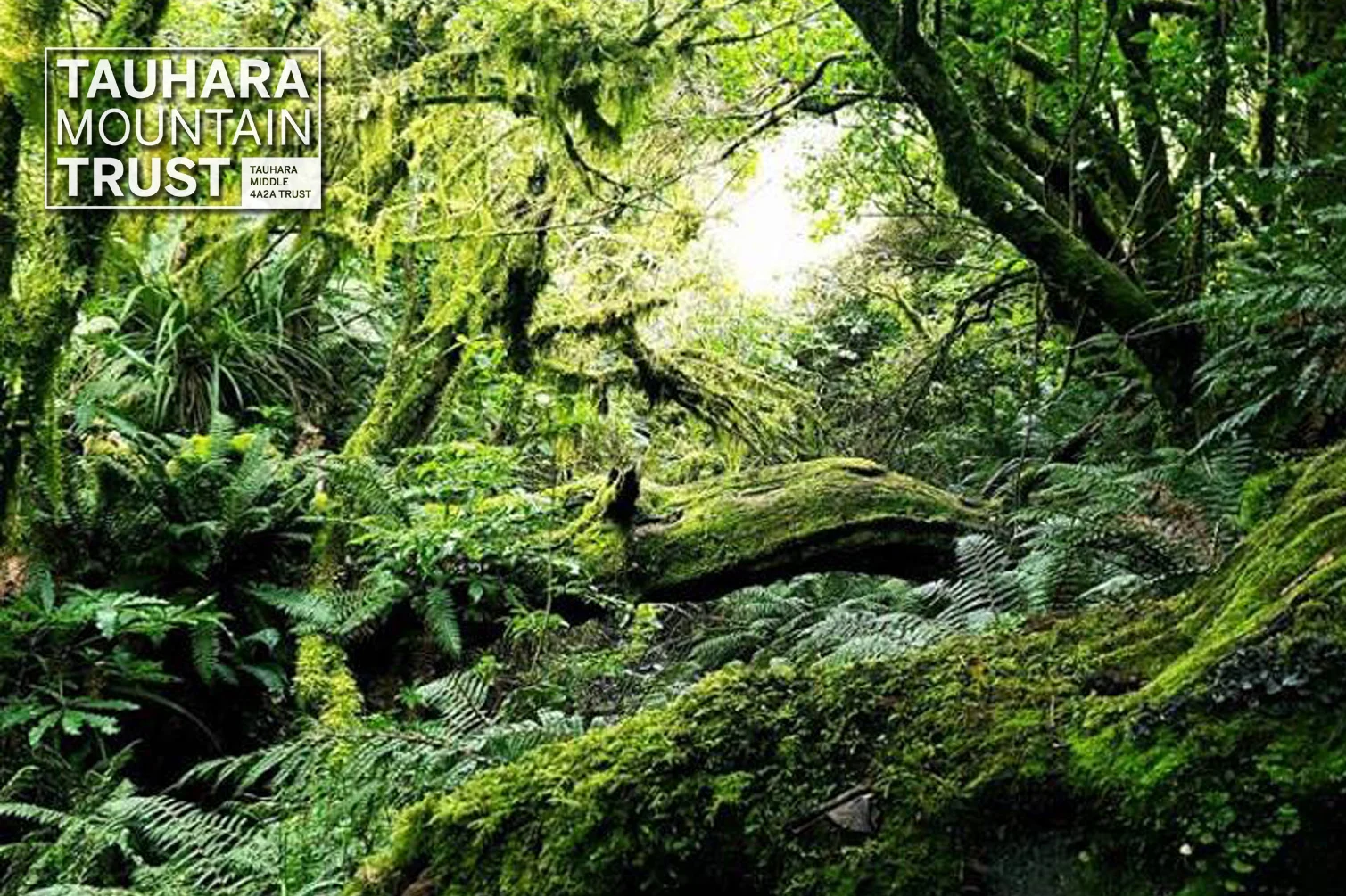 Tauhara Mountain Trust