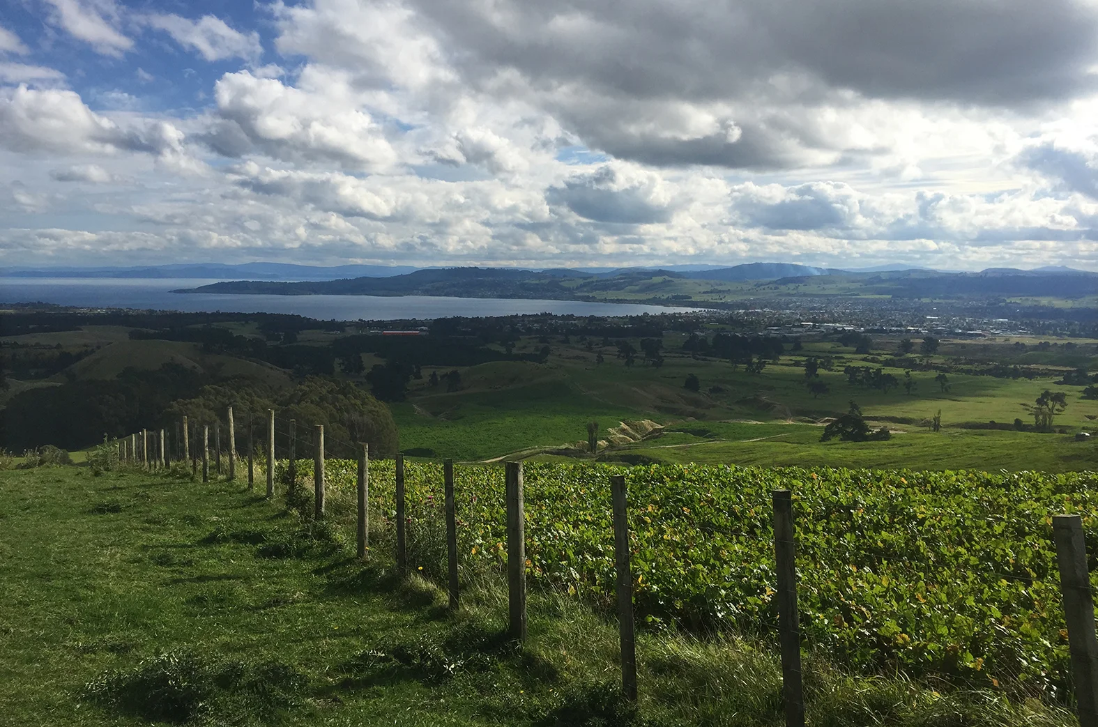 View from Tauhara.jpg