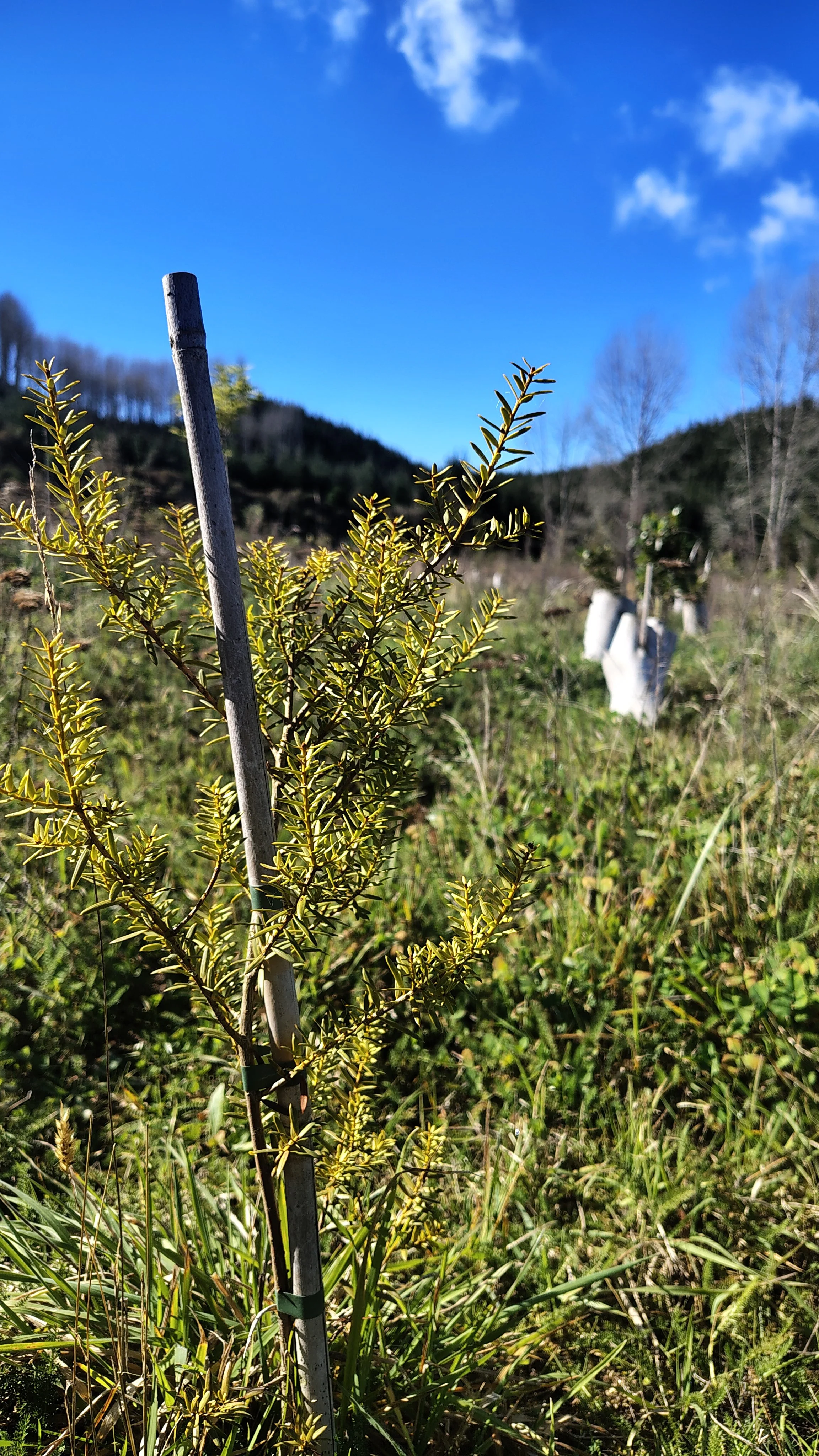 IMG_20260515_114107628_HDR.jpg