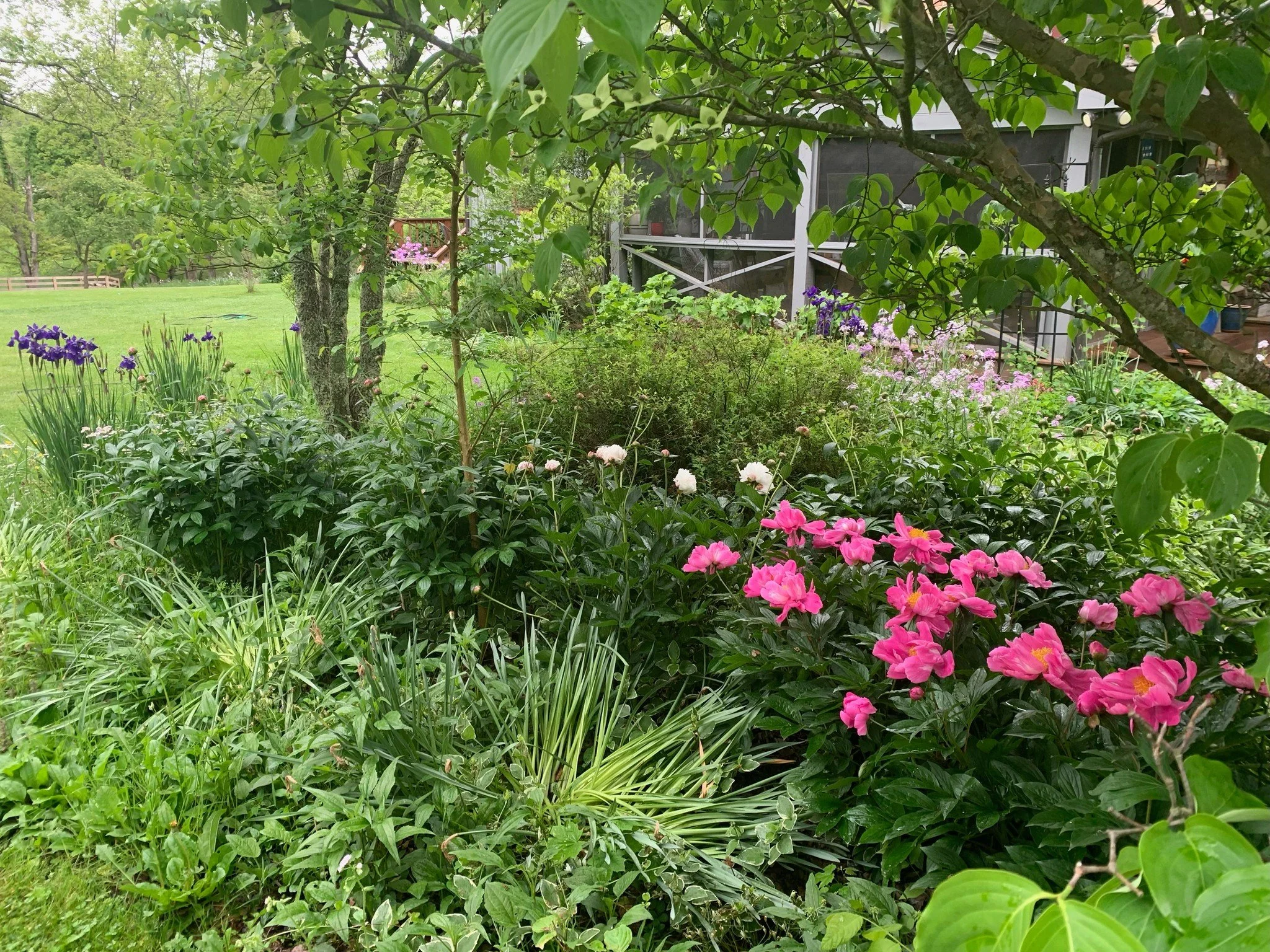 Leland Gardens  1.jpg