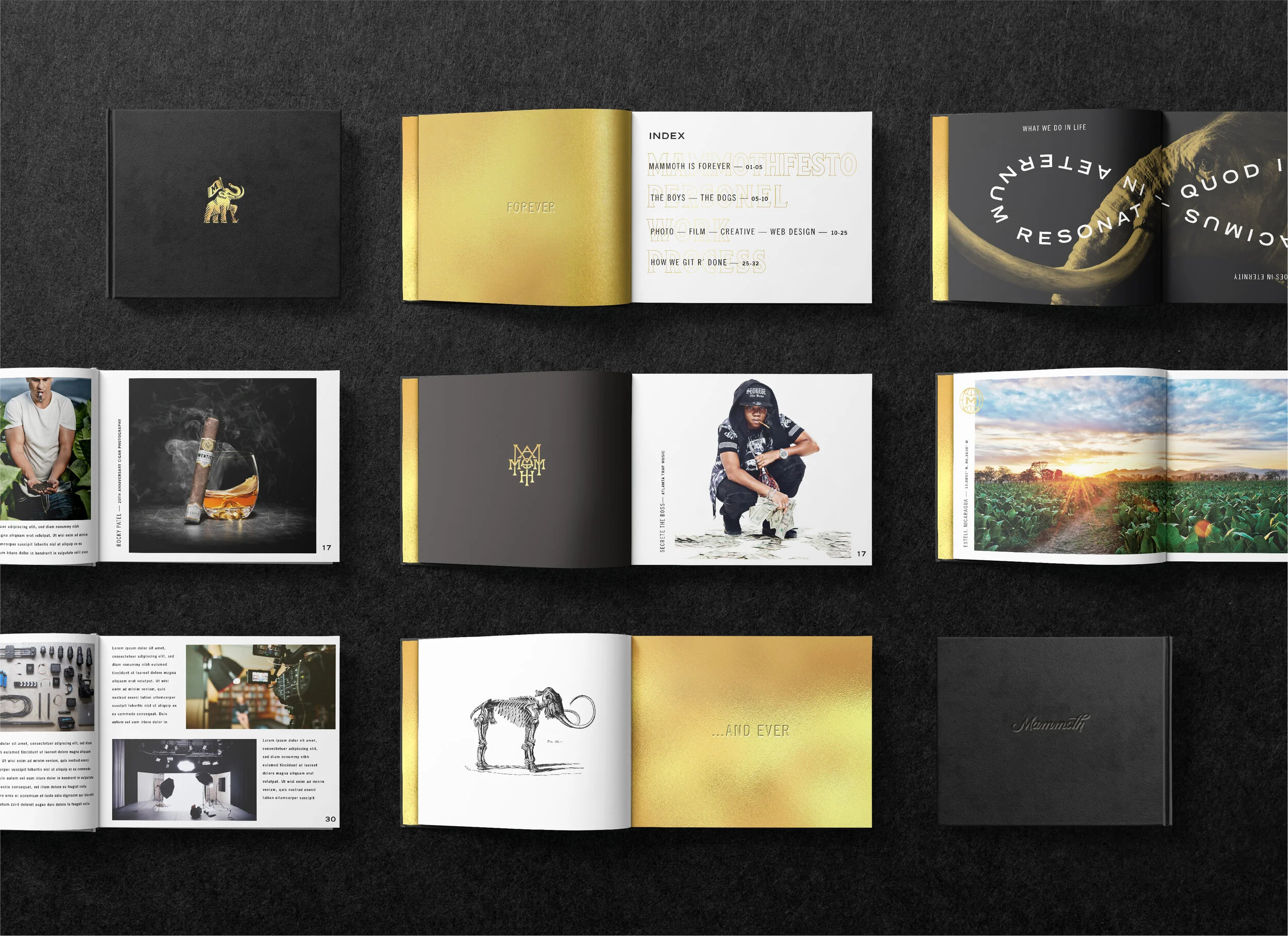Mammoth Studio — michael mcQuaid