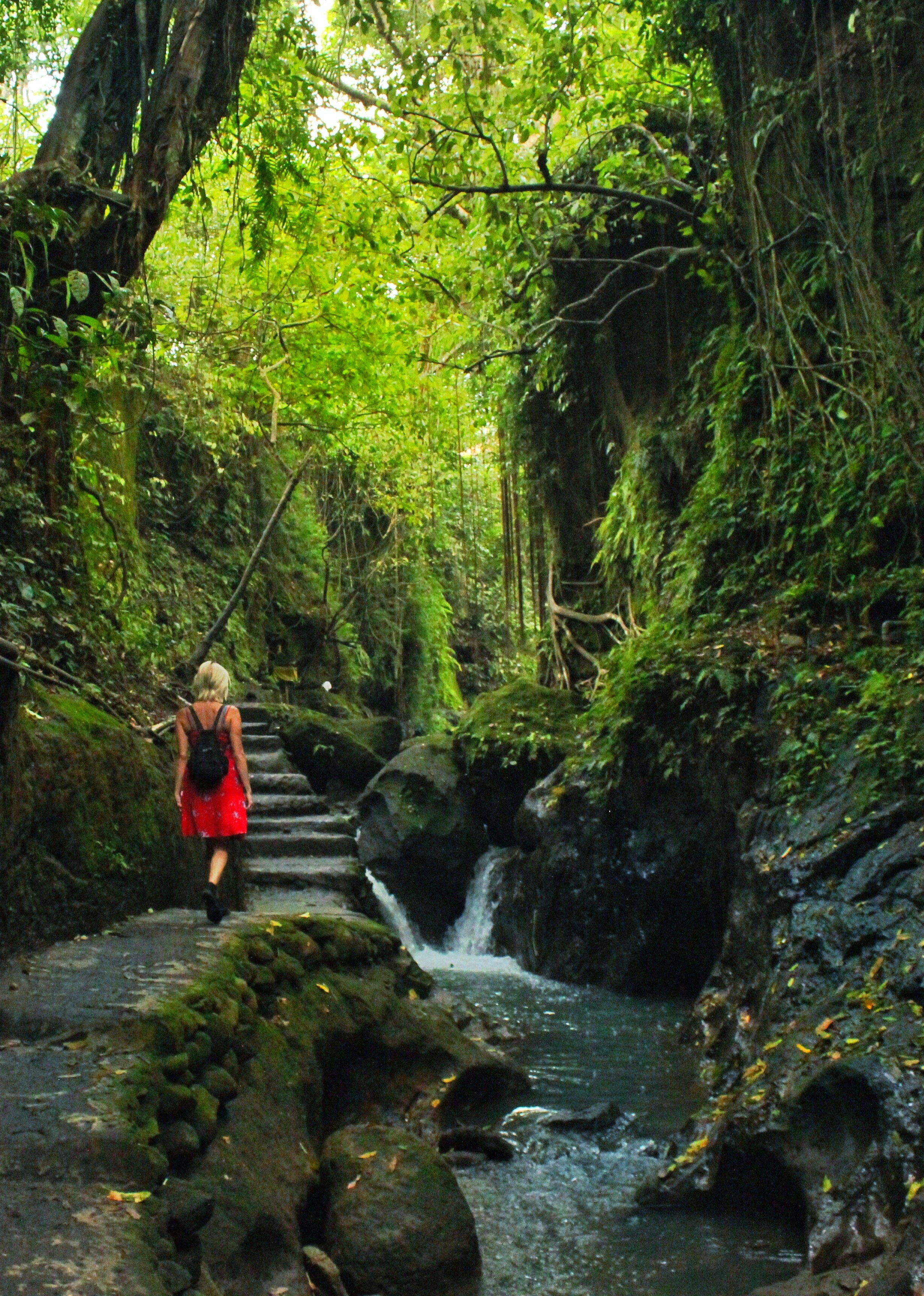 6243746192_IMG_6679 2.jpg