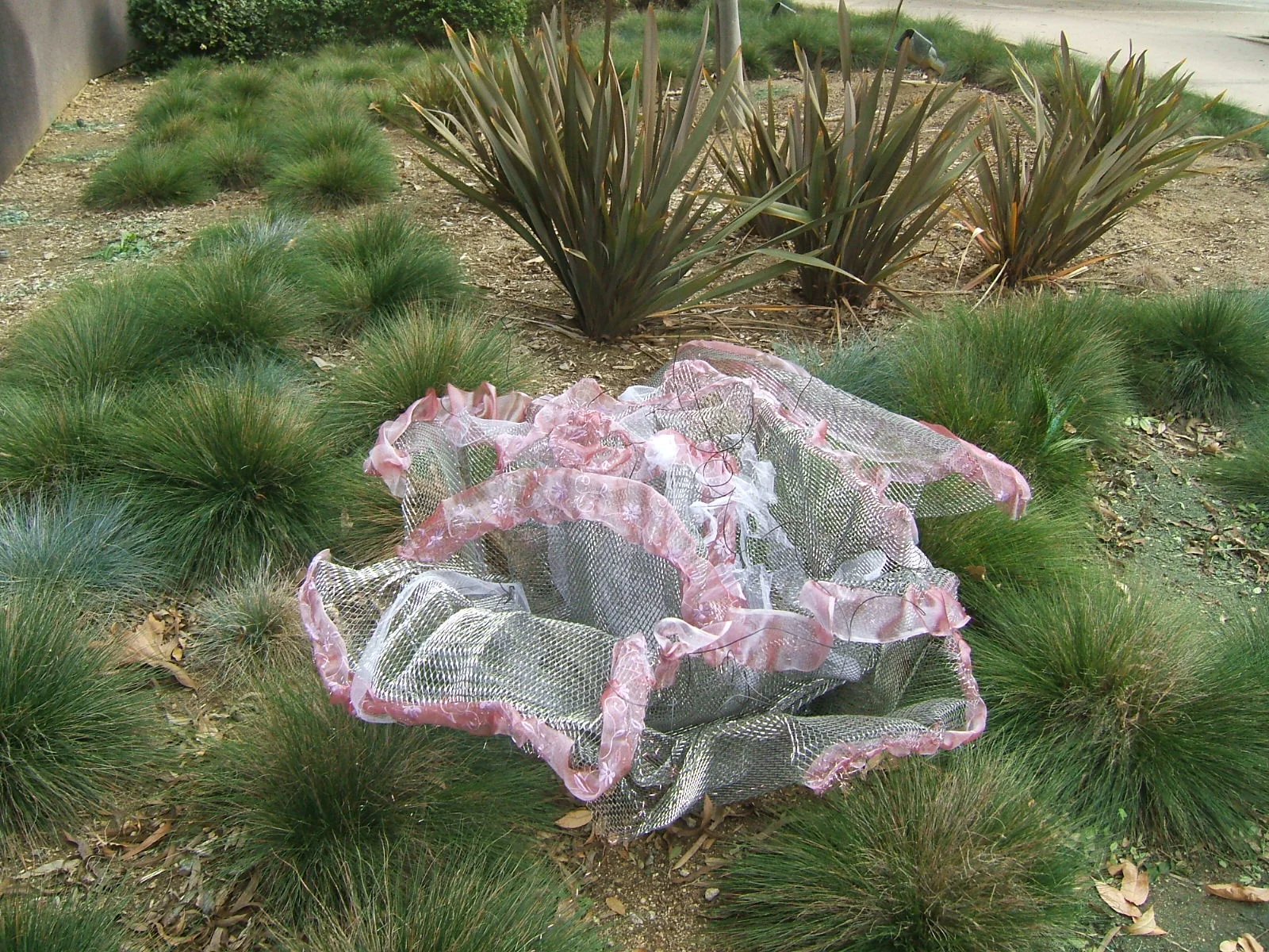Marina Murad Heavy Metal , 2005 I was a closeted head-banger AKA a lover of heavy metal music, yet I always appeared feminine and proper on the outside. This flower was a representation of myself: soft with an edge–to be a free-thinking American with an Iraqi upbringing was a challenge, to say the least.