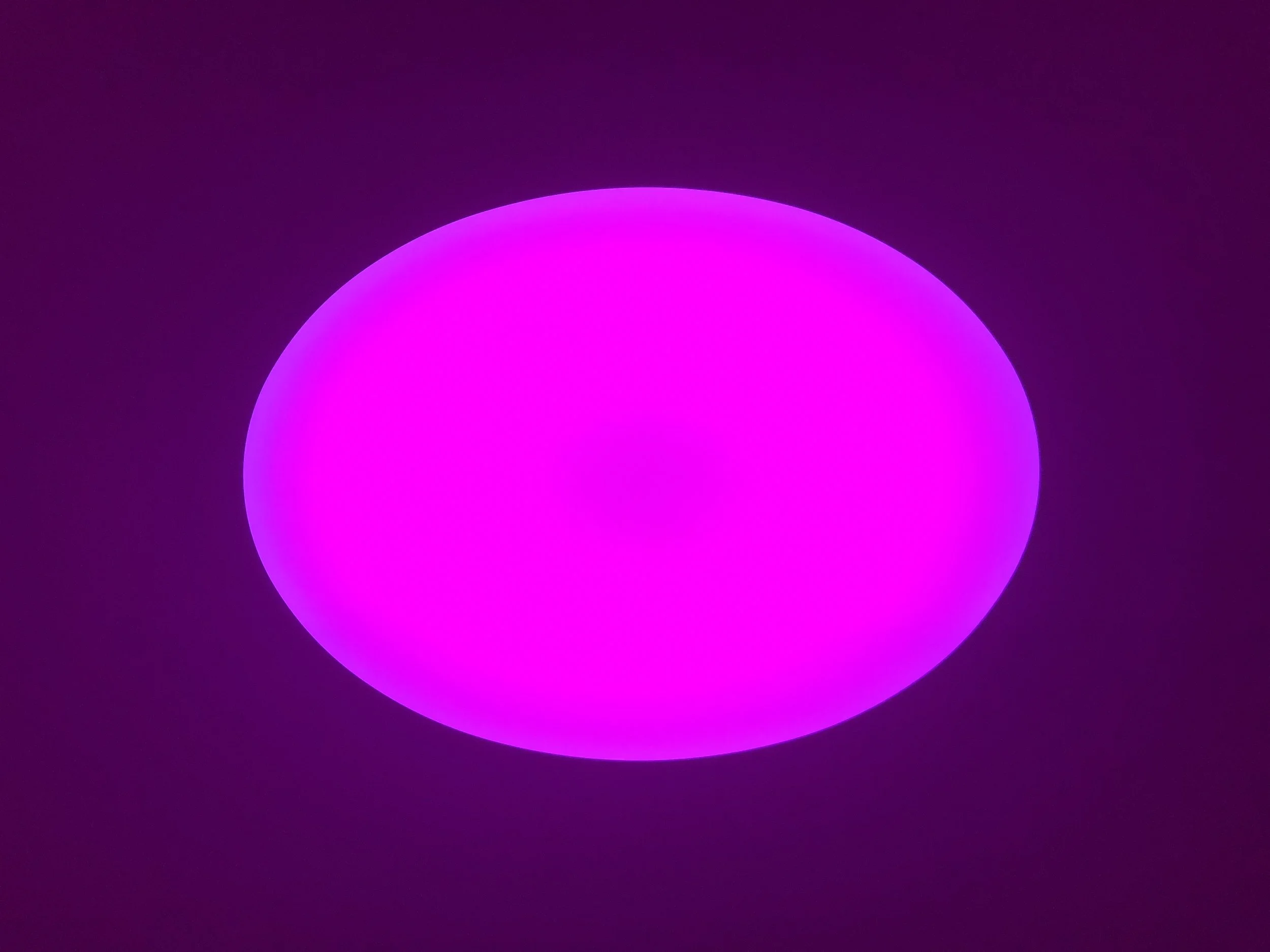James Turrell, Jhuya, 20(20), Curved Elliptical Wide Glass, 2018 L.E.D. light, etched glass and shallow space 54 x 61.32 inches