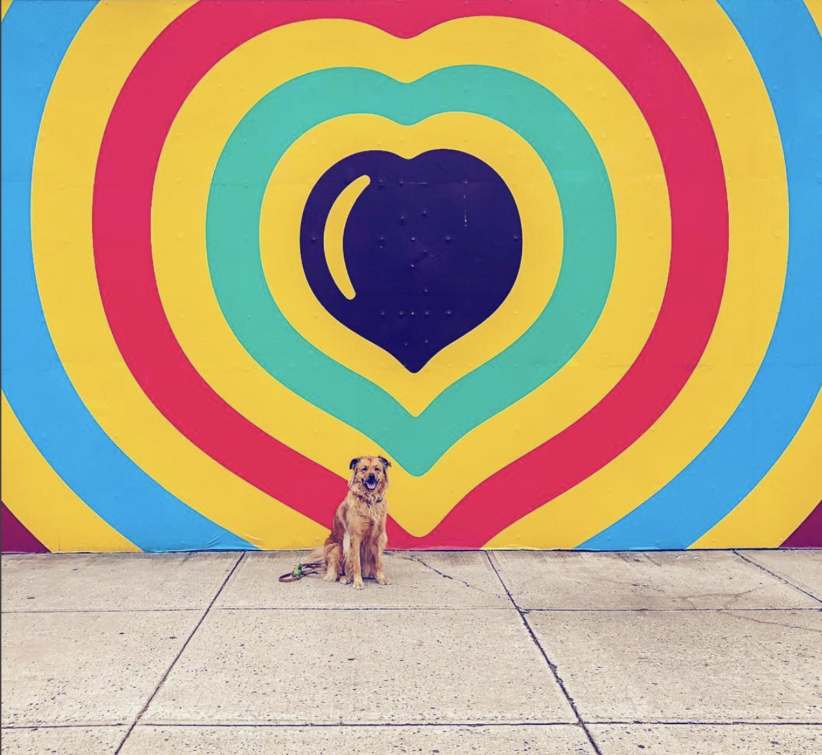 Street Art | The streets of Brooklyn are vibrant and ever-changing, I love capturing the latest murals with Rocksy