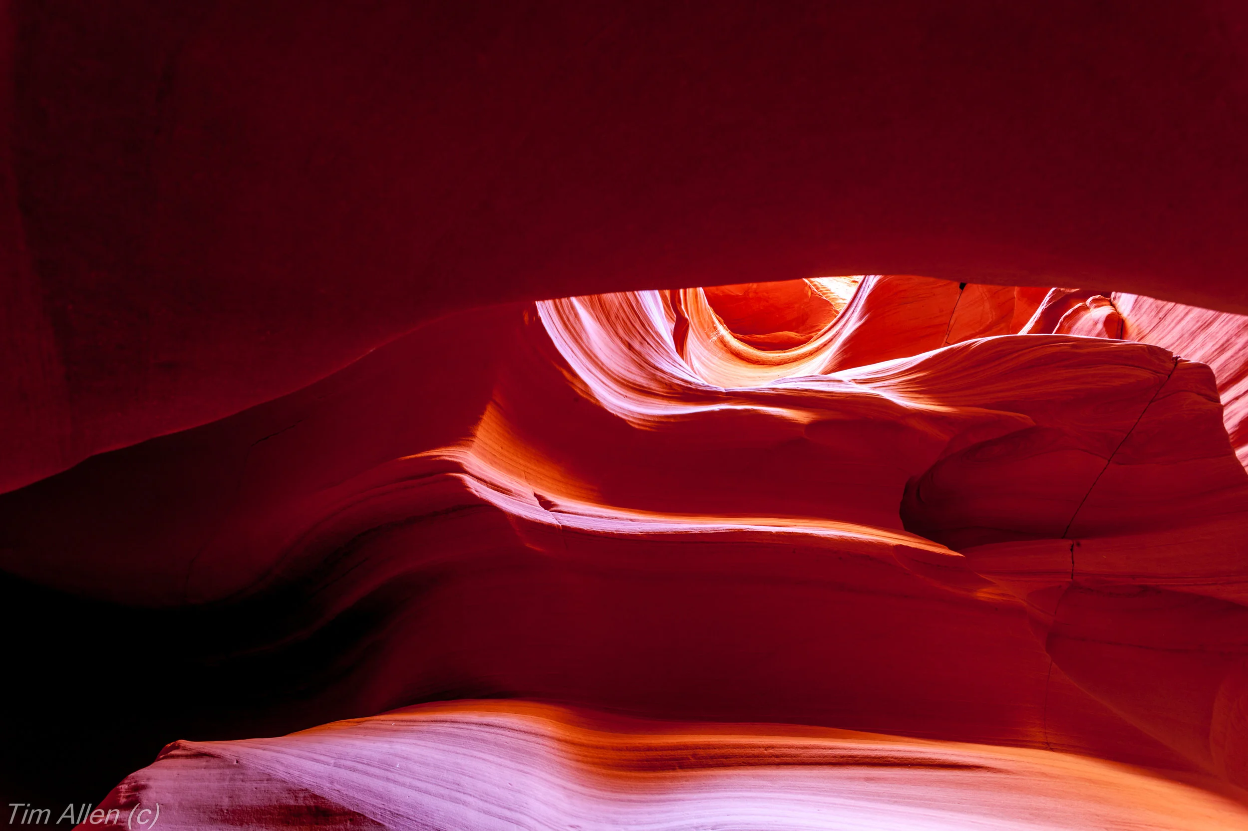 Canyon X 5-1.jpg
