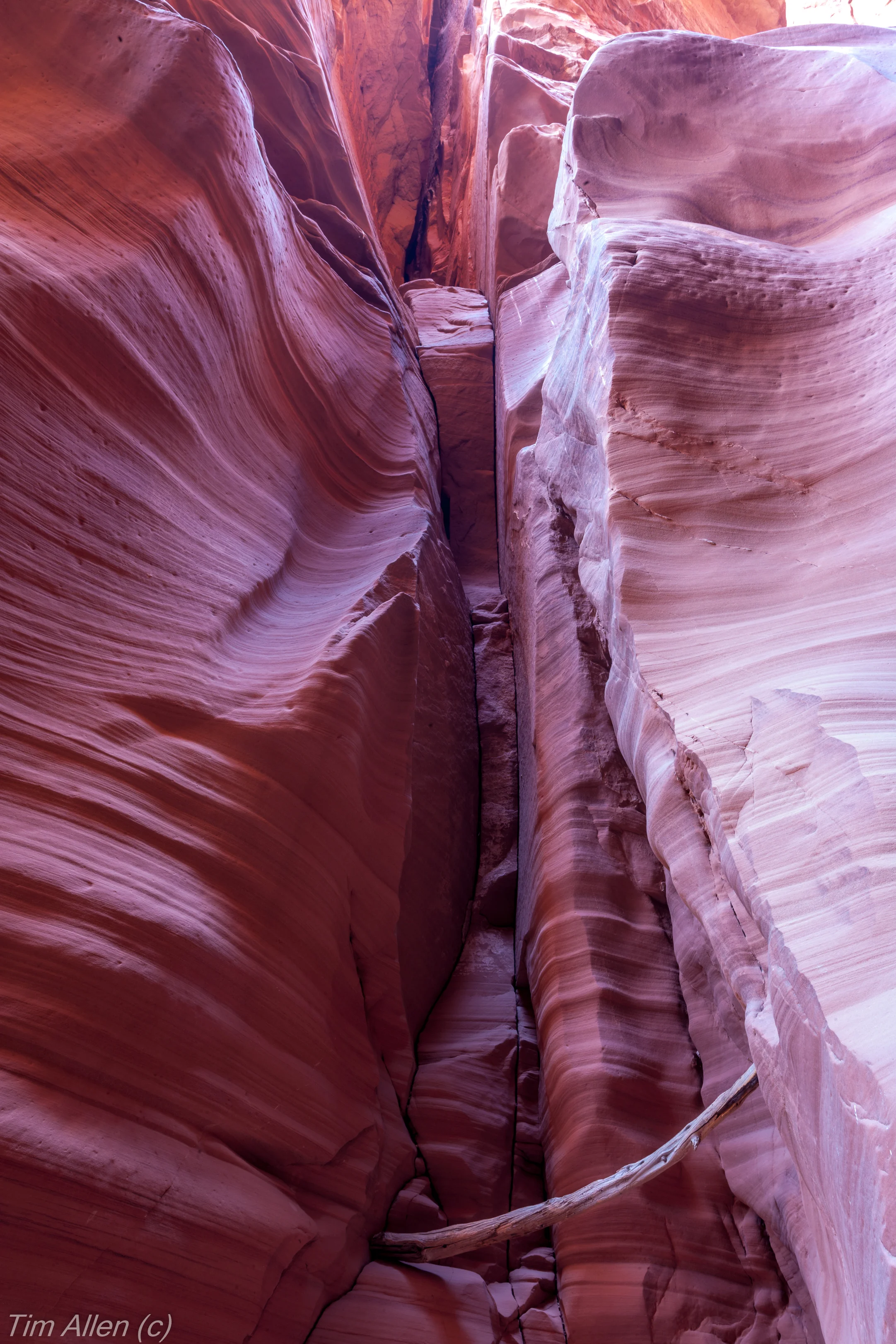 Canyon X 2-1.jpg