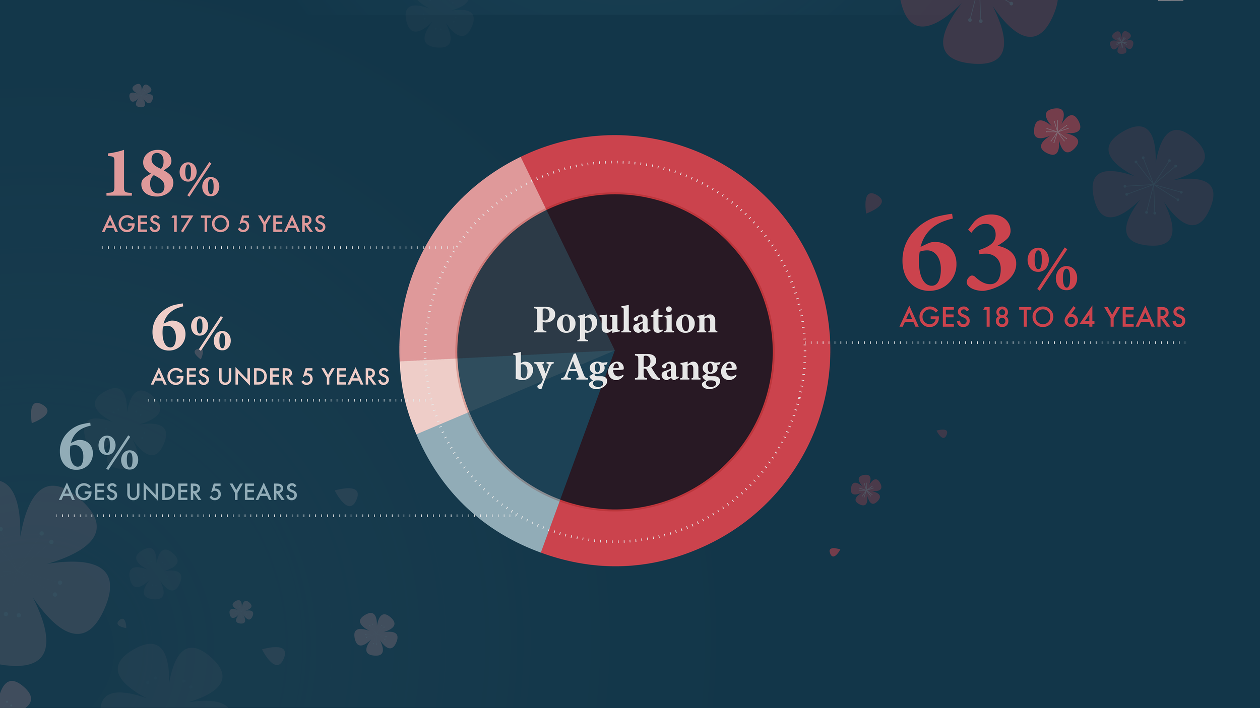2District of Columbia Data Visualization-02.png