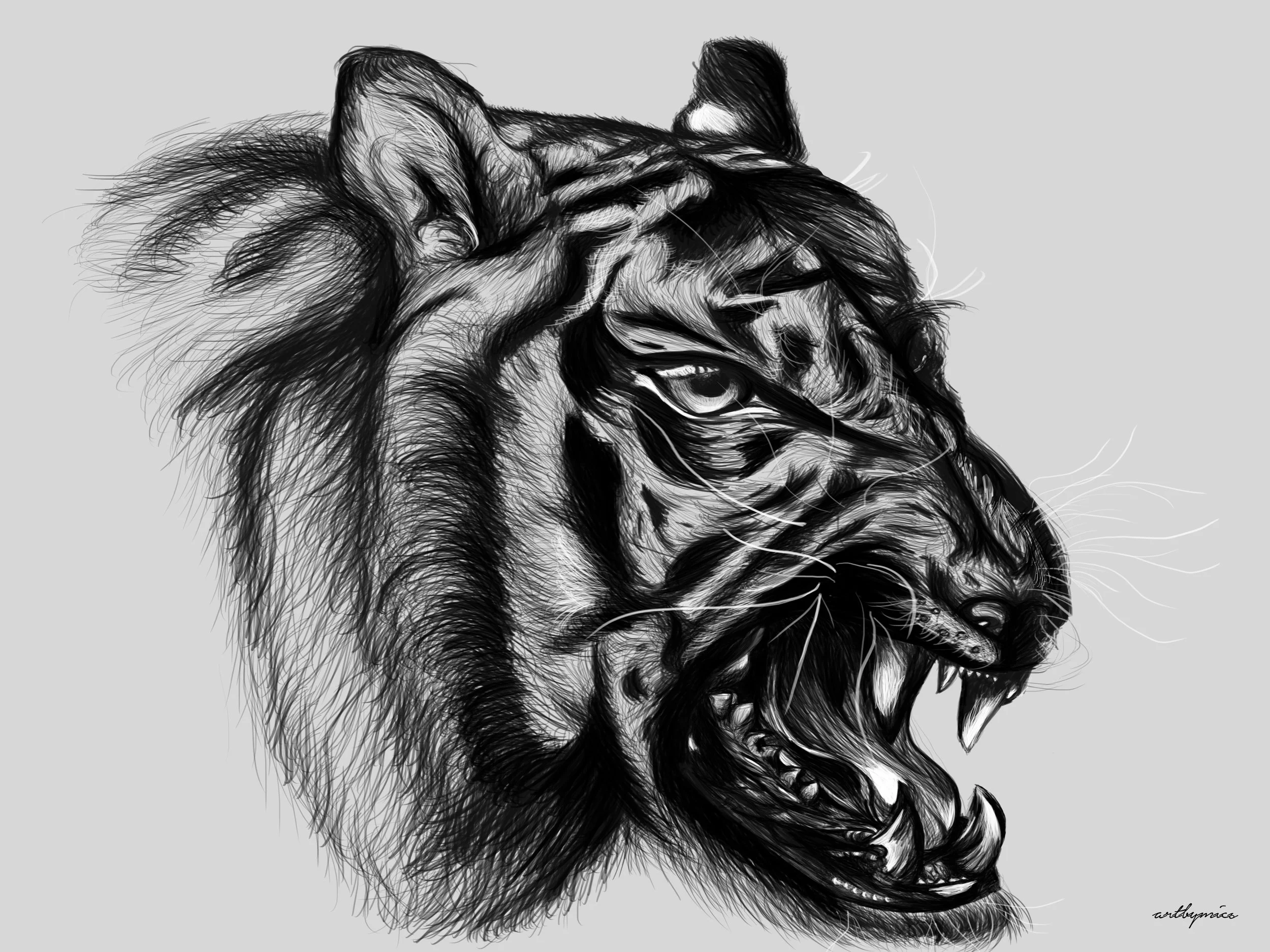 Year of the Tiger 2018.jpeg