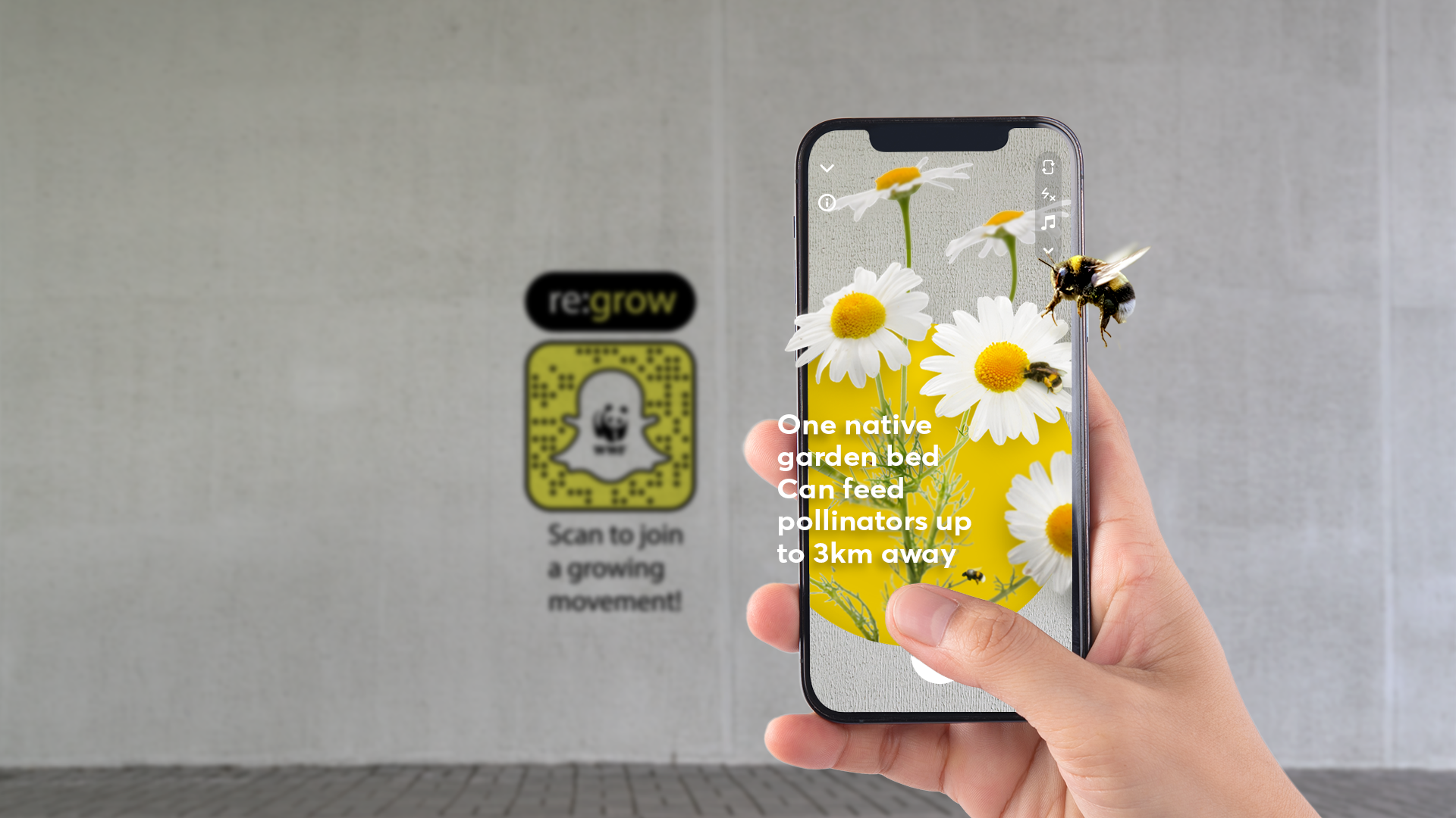 WWF_Regrow_AR_Phone_v2.png