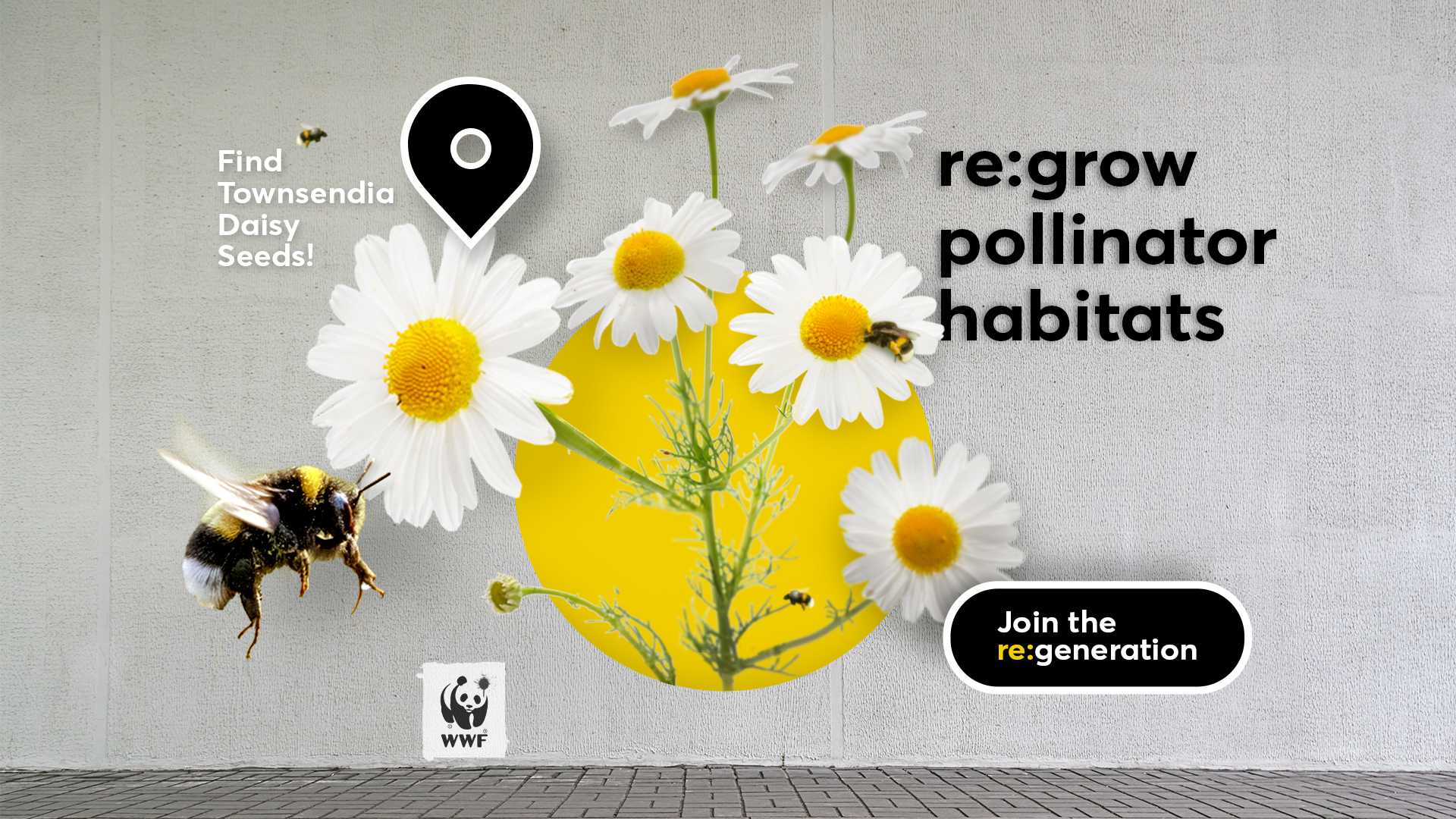 WWF_Regrow_AR_V4.png