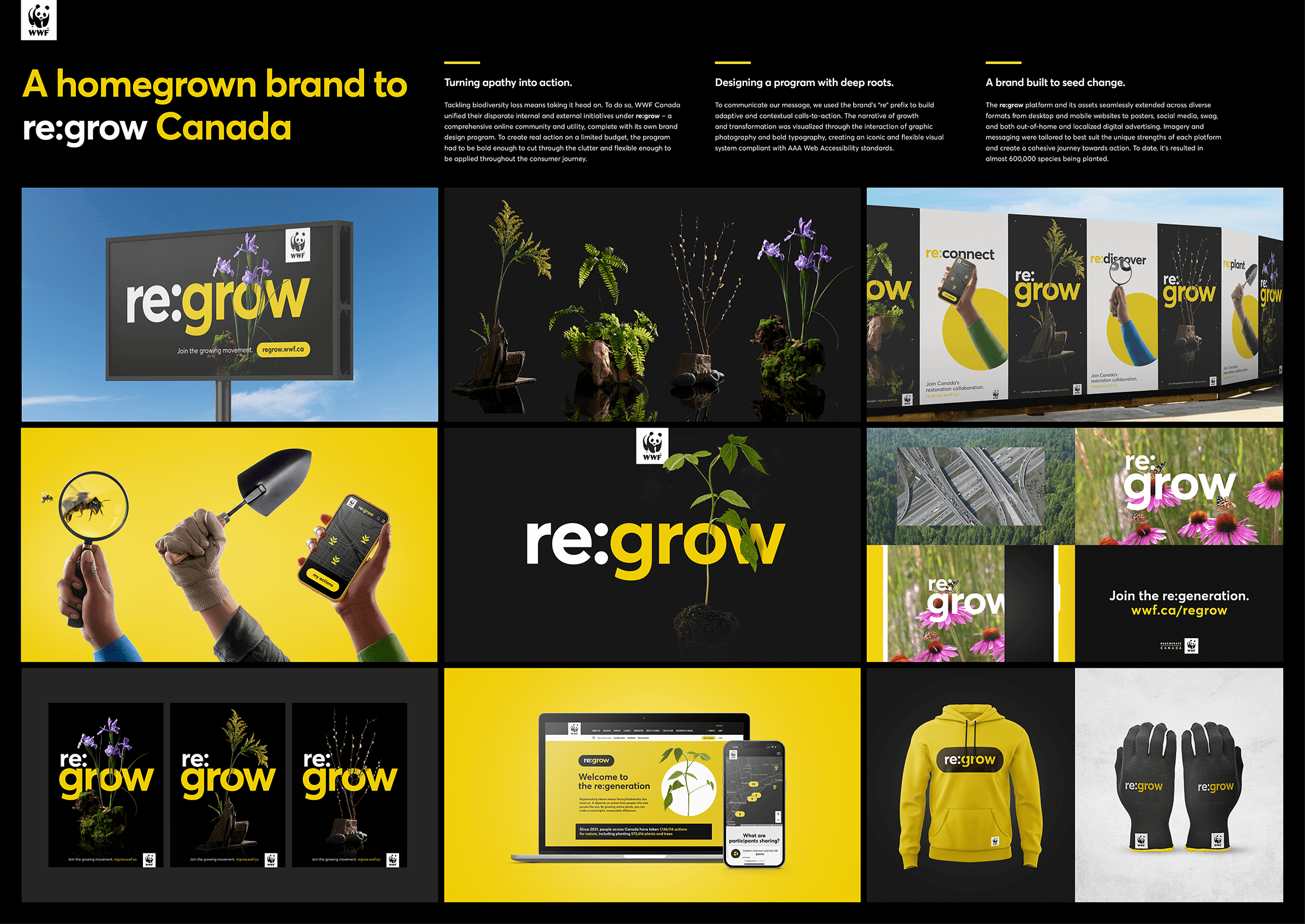 WWF_ReGrow_Boards_D5_sm.png