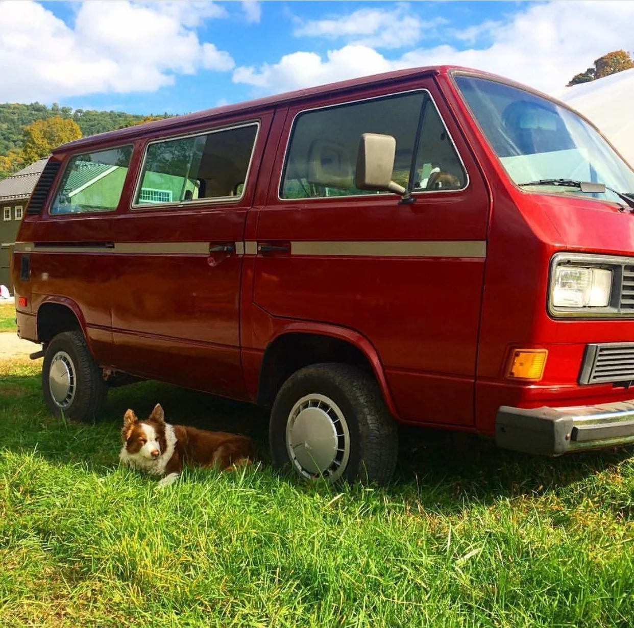 Some early pics of Ronnie, from a previous owner!