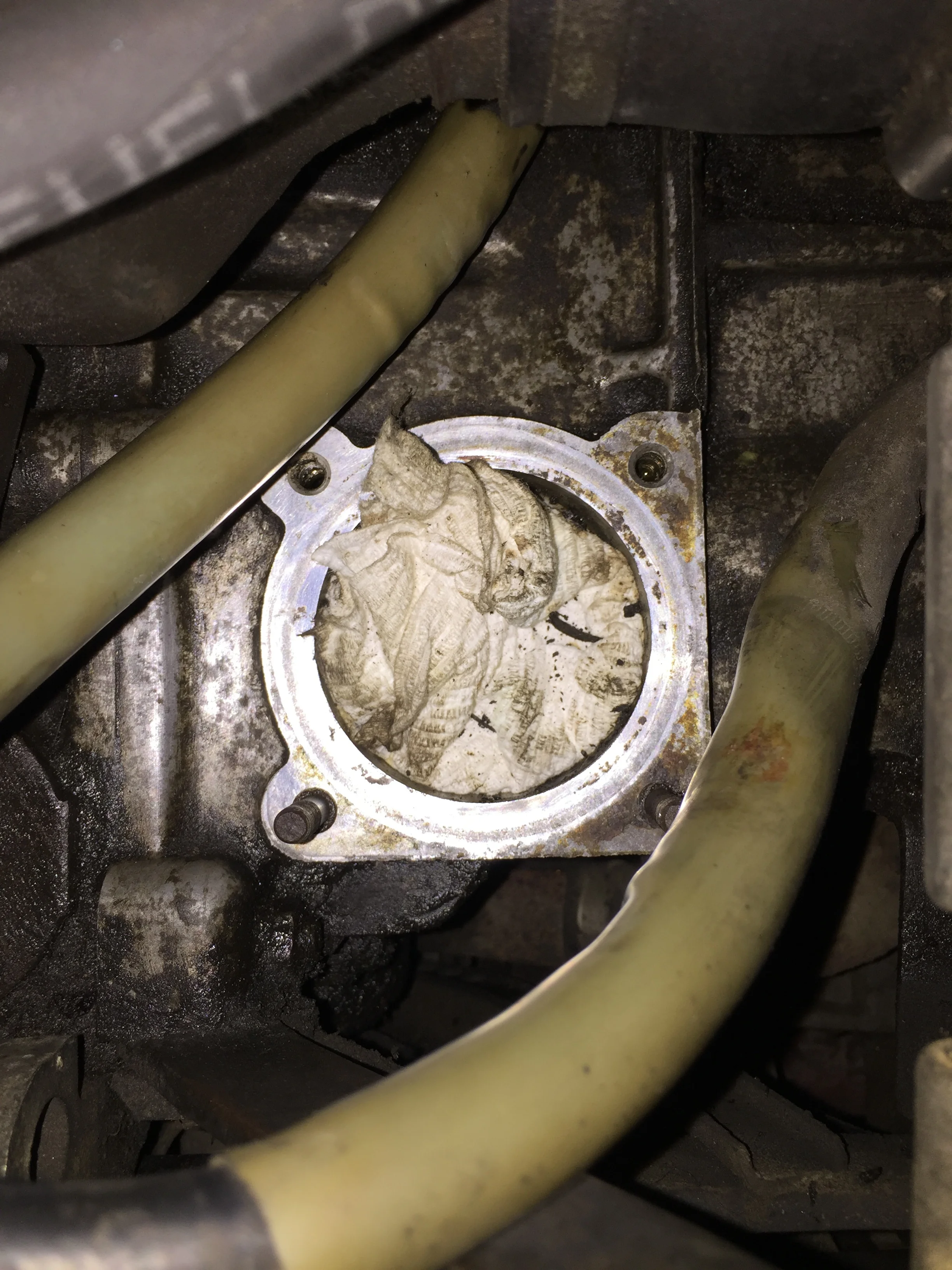 Fixing oil leaks on the top...