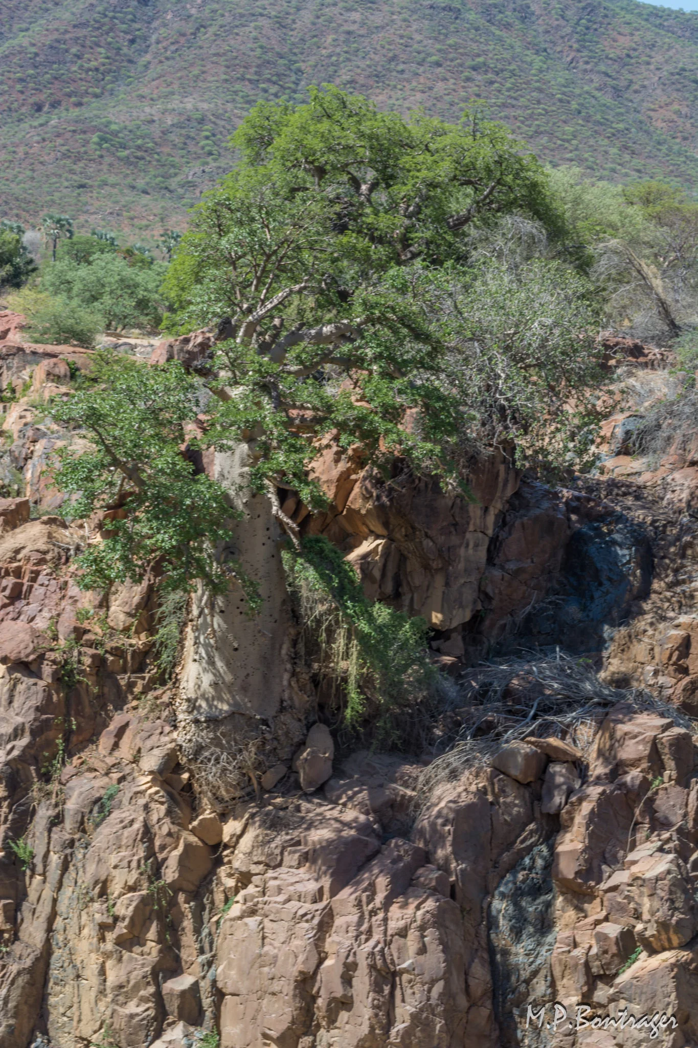 Epupa Falls and Himba Village along the Kunene
