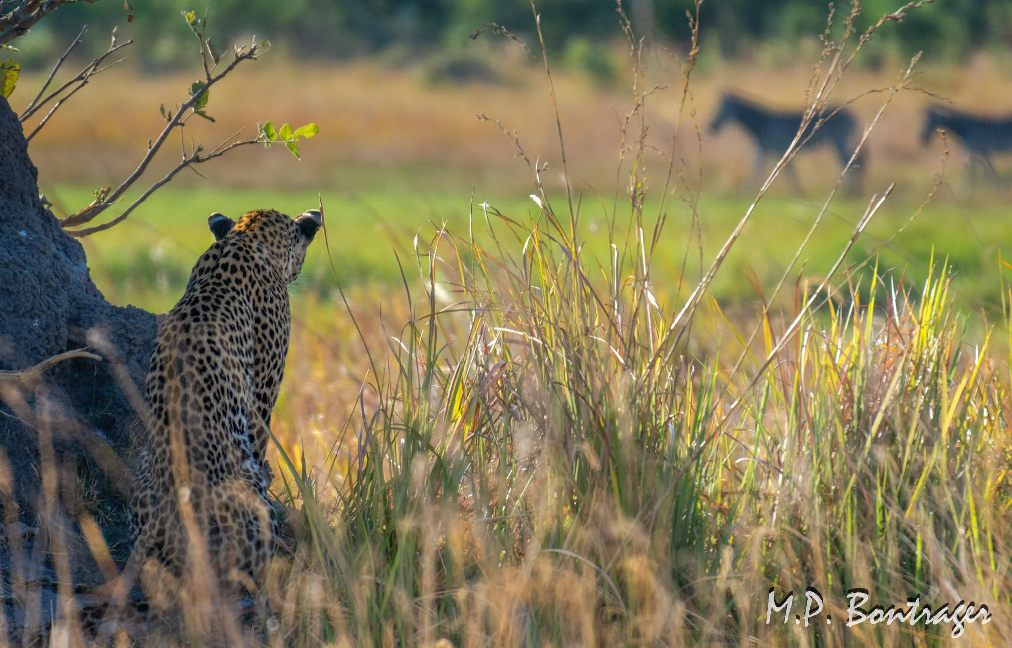 _DSC6643-Edit.jpg