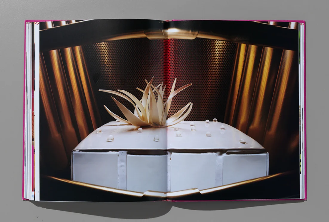 Web_zumbo_layouts14.jpg