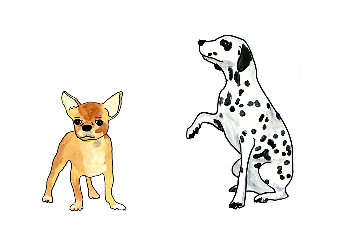 Web_dogs_layouts7.jpg
