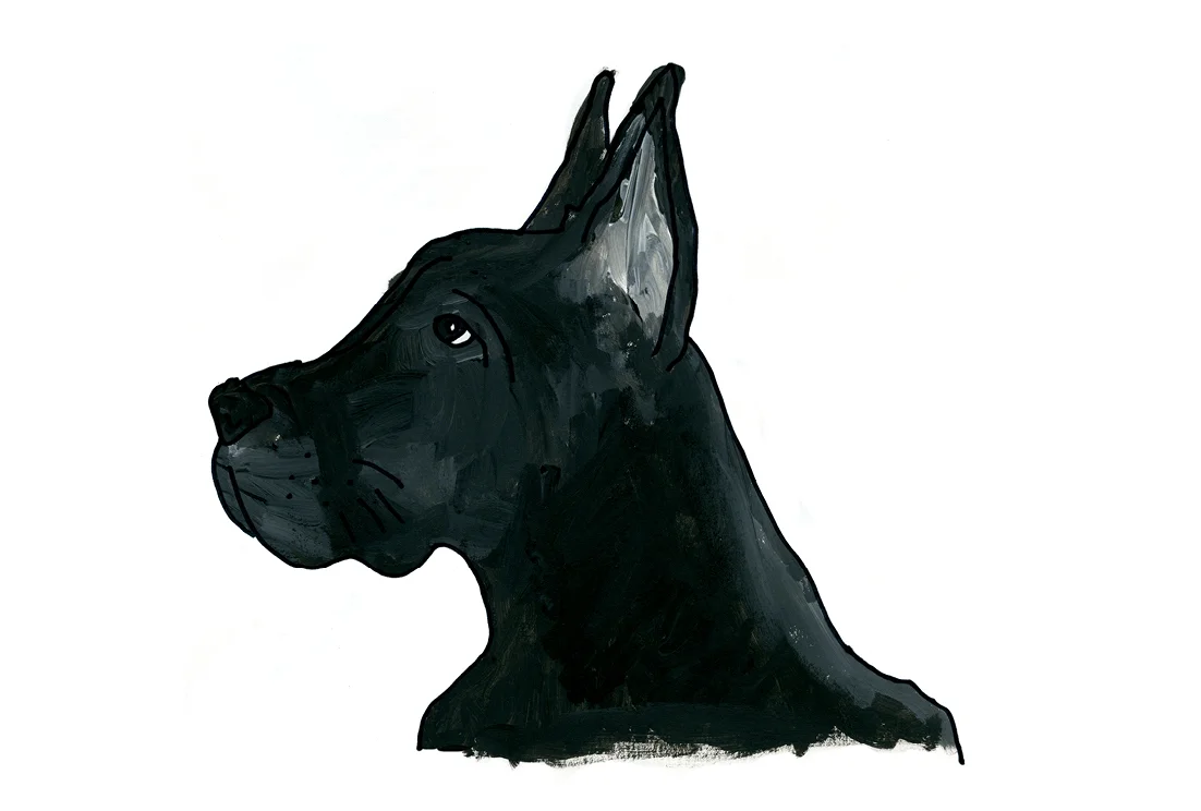 Web_dogs_layouts10.jpg