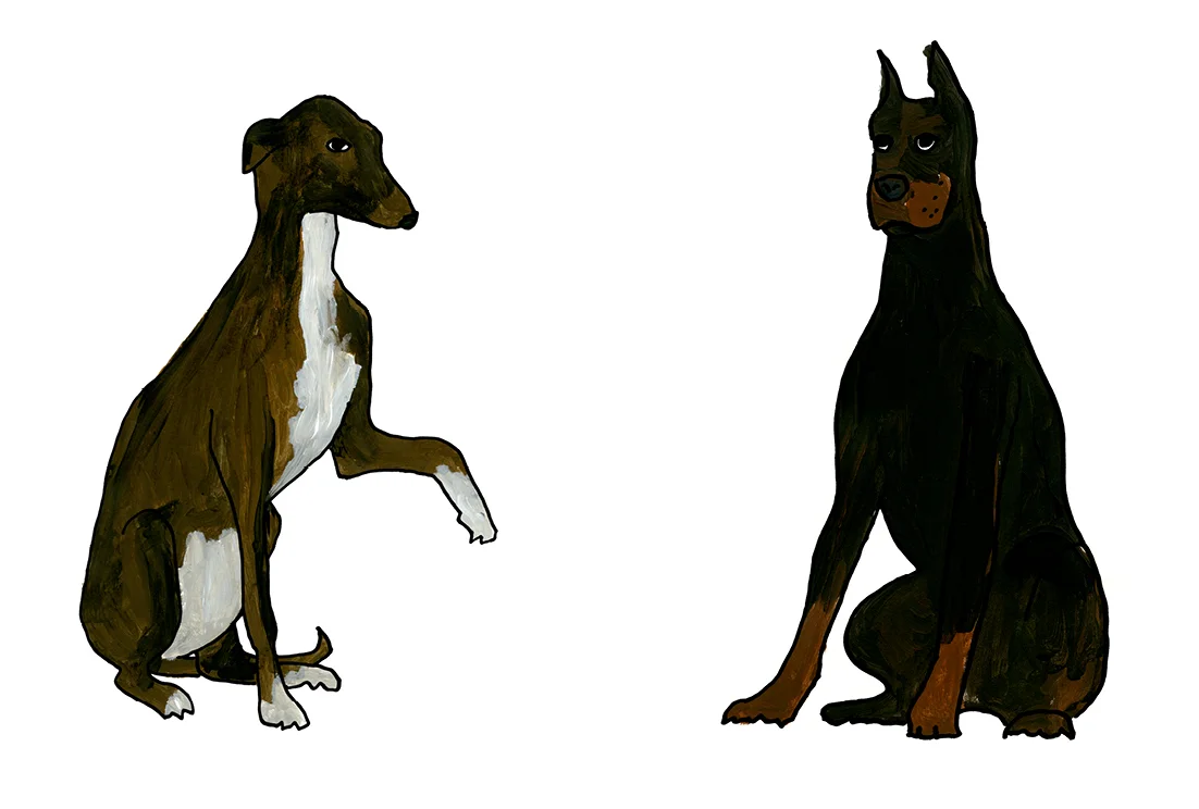 Web_dogs_layouts9.jpg