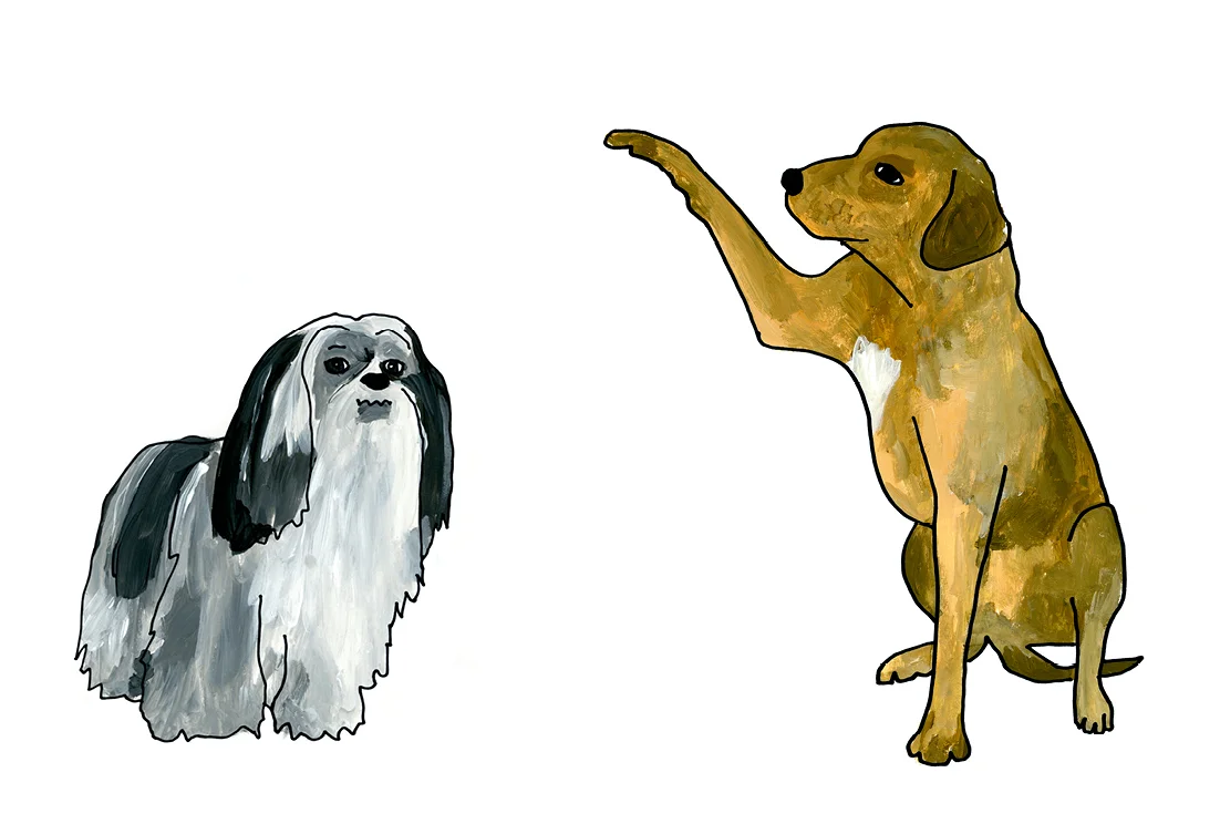 Web_dogs_layouts16.jpg