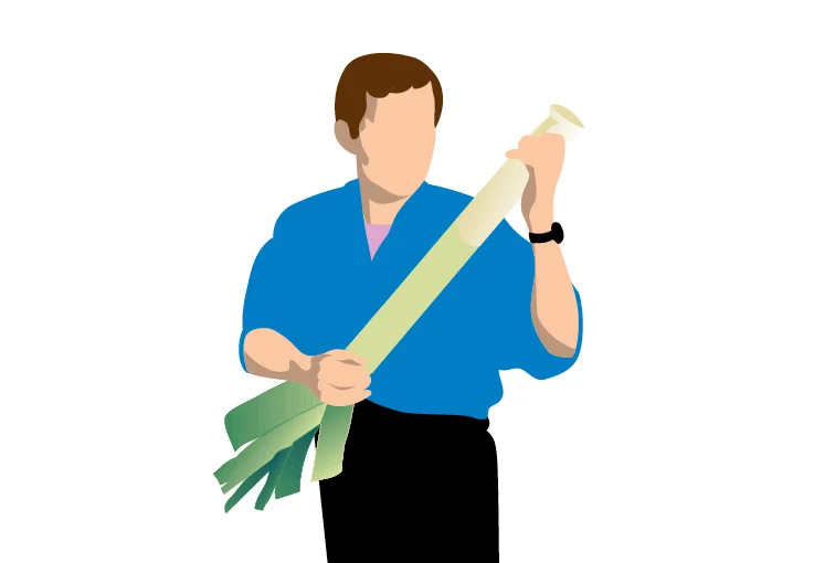 Web_misc illustrations_layouts3.jpg