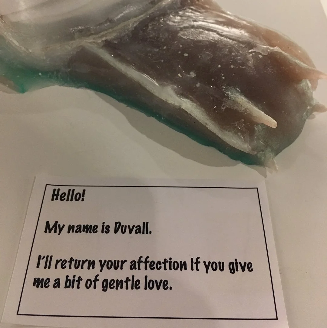 ShellyDuvallPlaqueDetail.jpg