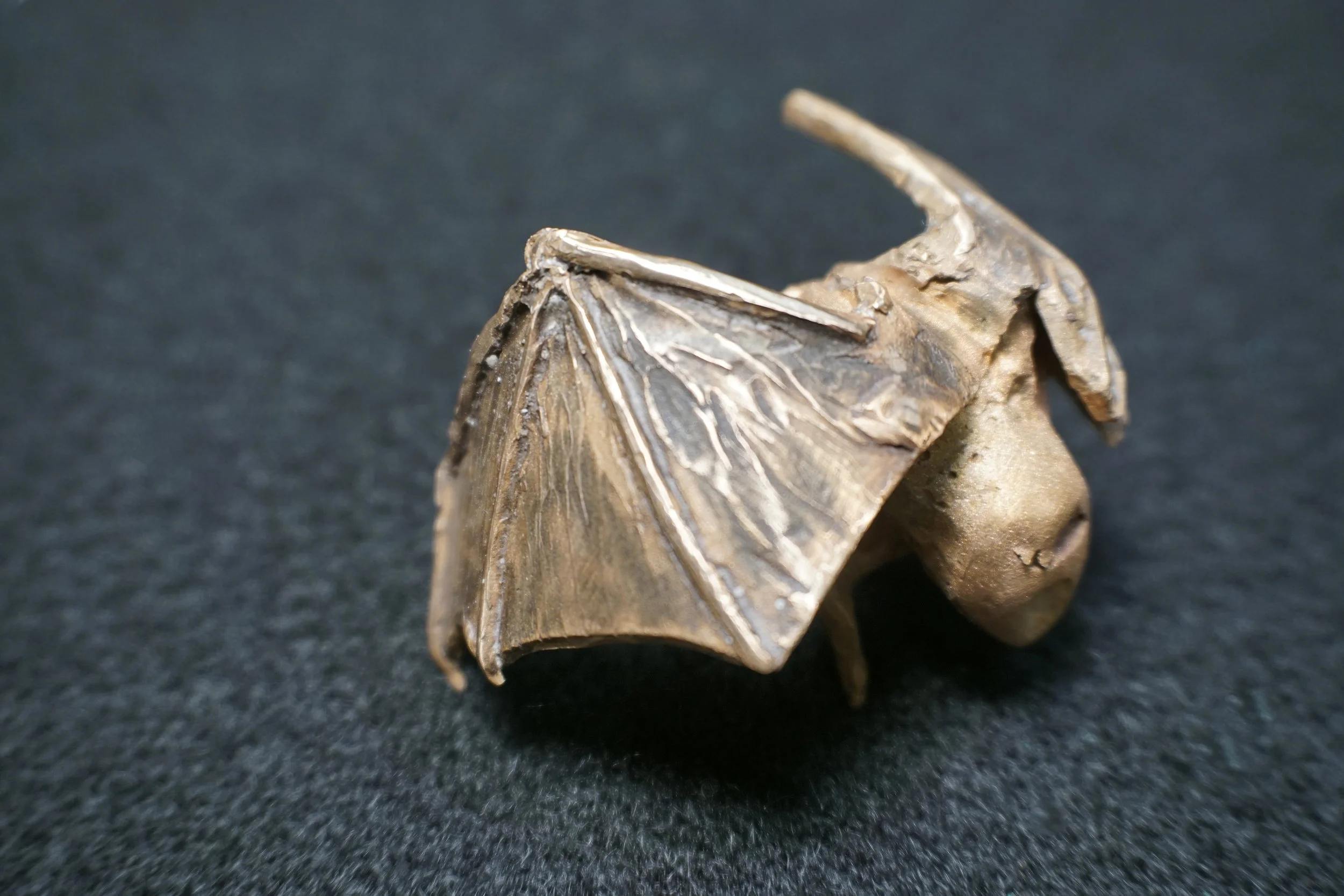 BatwingPatina2.JPG