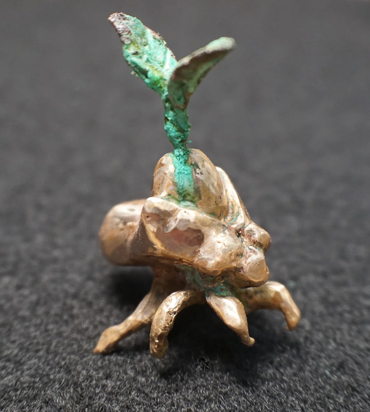 Sprout1.jpg