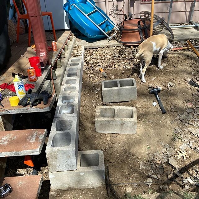 Gardening/&quot;witch school&quot; day zero was yesterday. It was REALLY nice getting out in the sun, swinging axes and shovels, and teaching Mollie the finer points in picking up rocks.

@sister_rainbow_scream 
#gardening #retainingwall #dogishelpin