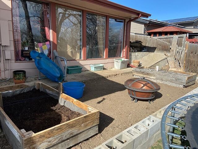 Gardening with basically scrap/garbage has been going well. So far Mollie and I have only planted Marigolds and sunflowers, but peas, beets, radishes, lettuce and spinach are on the way as things get more settled. 
@sister_rainbow_scream