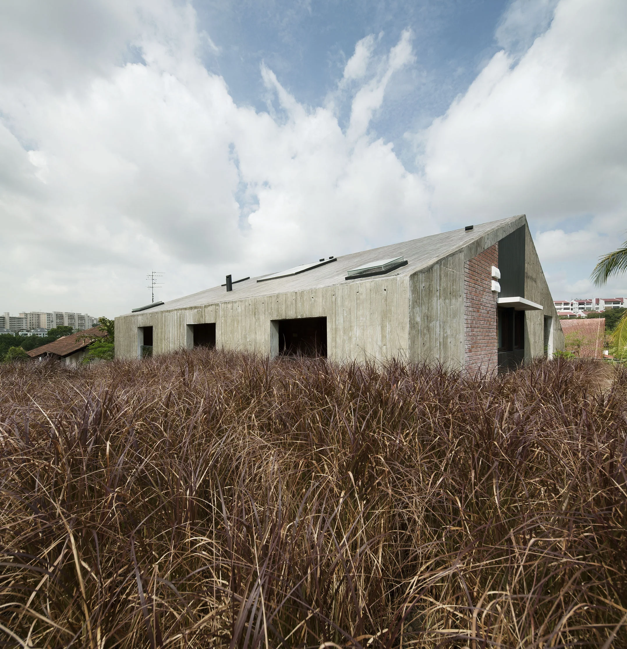 _MG_2963b_for print.JPG