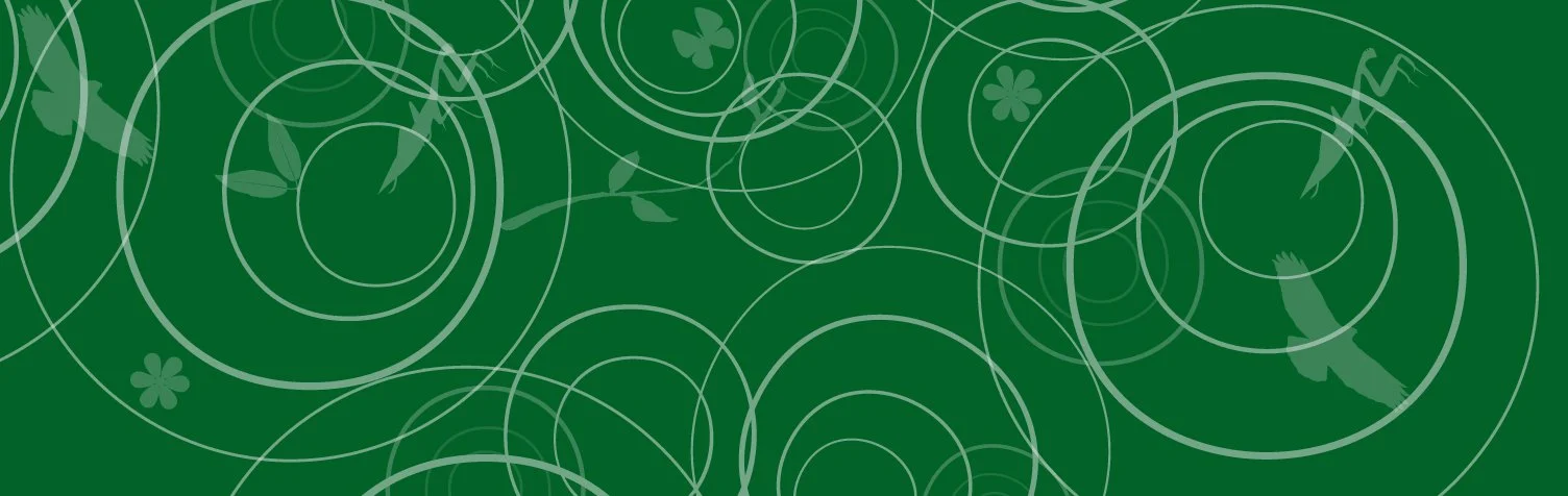 Flora-+-Fauna-Graphic.jpg