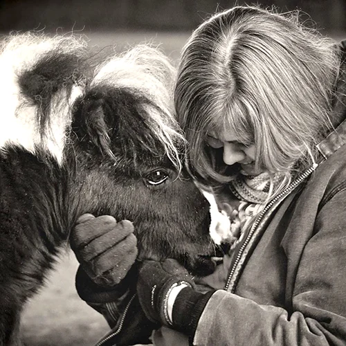 Saving Grace Mini Horse Rescue. Emmet, Michigan