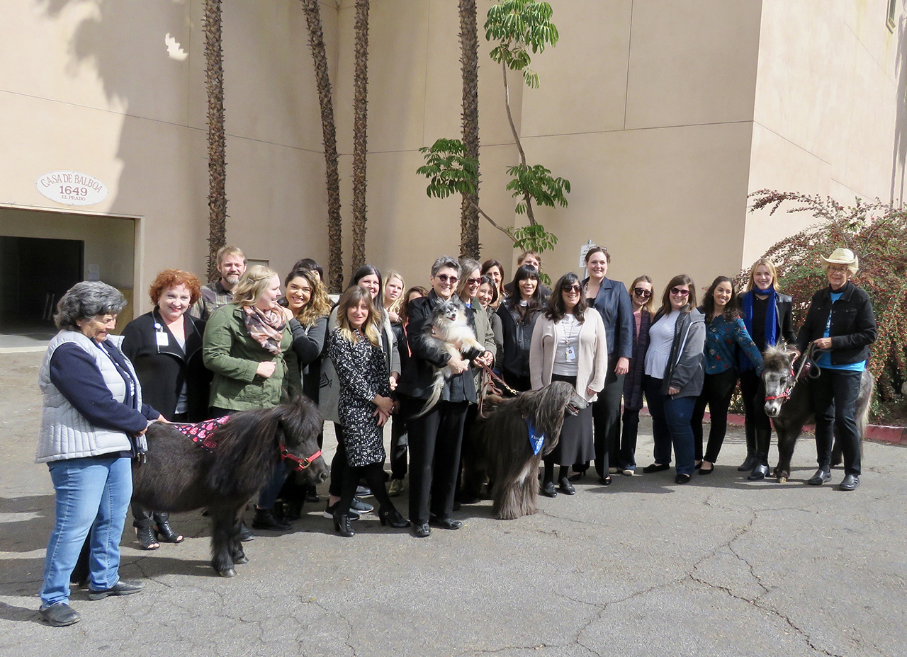 Invited for Museum's Staff Appreciation Day