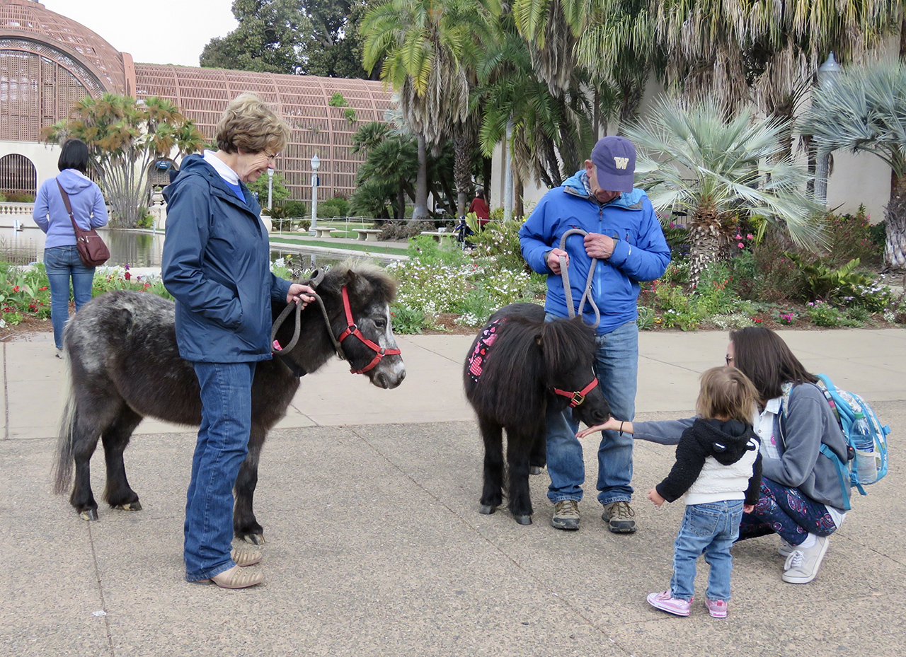 In Balboa Park