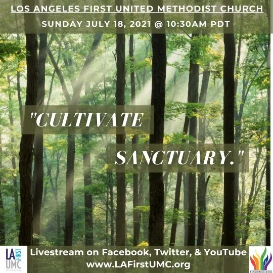 Order of Worship for Sunday, July 18: Cultivate Sanctuary