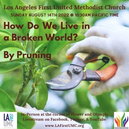 Order of Worship for Sunday, August 14, 2022: How Do We Live in a Broken World? By Pruning