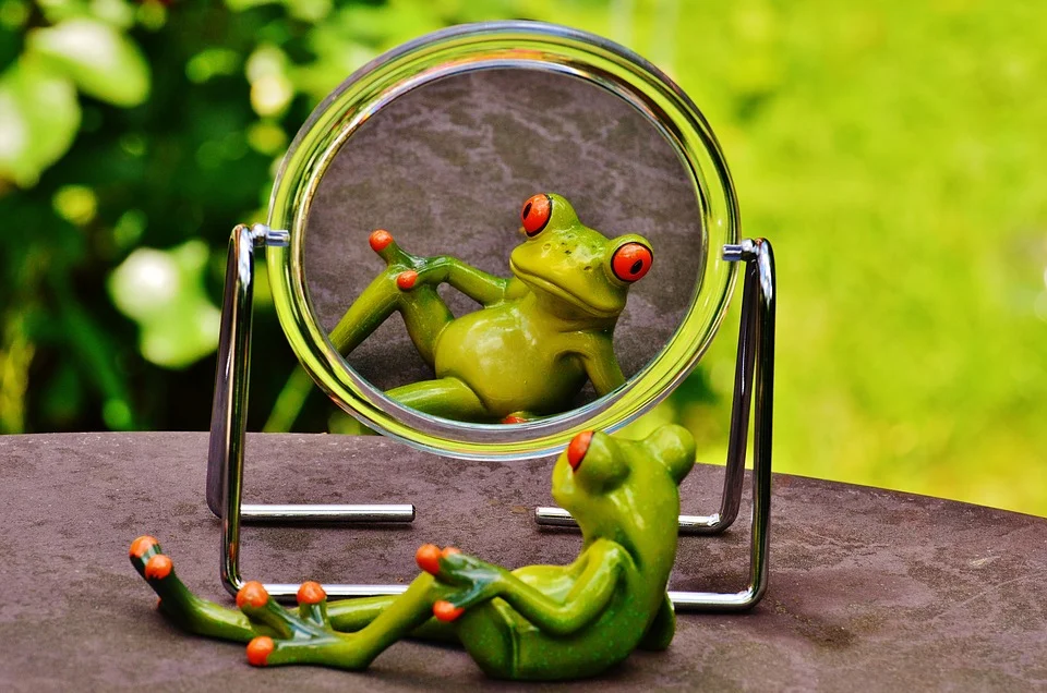frog-1498908_960_720.jpg