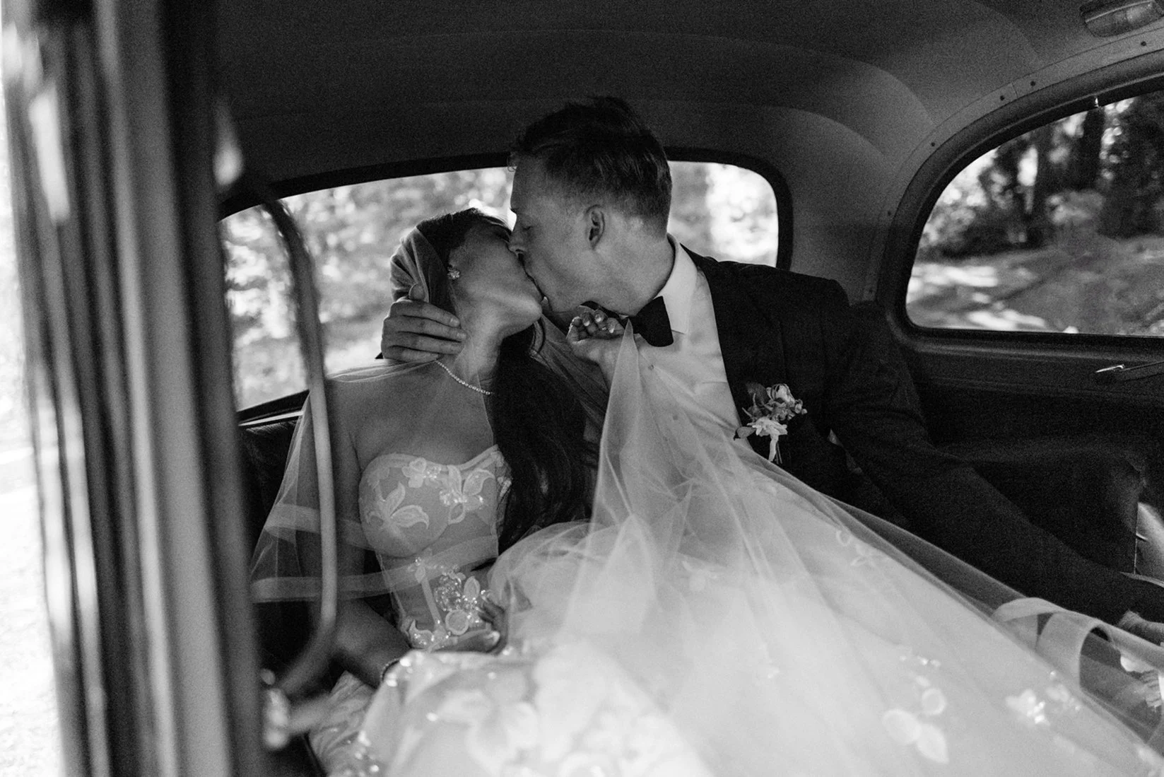 Los Gatos, California - 2023